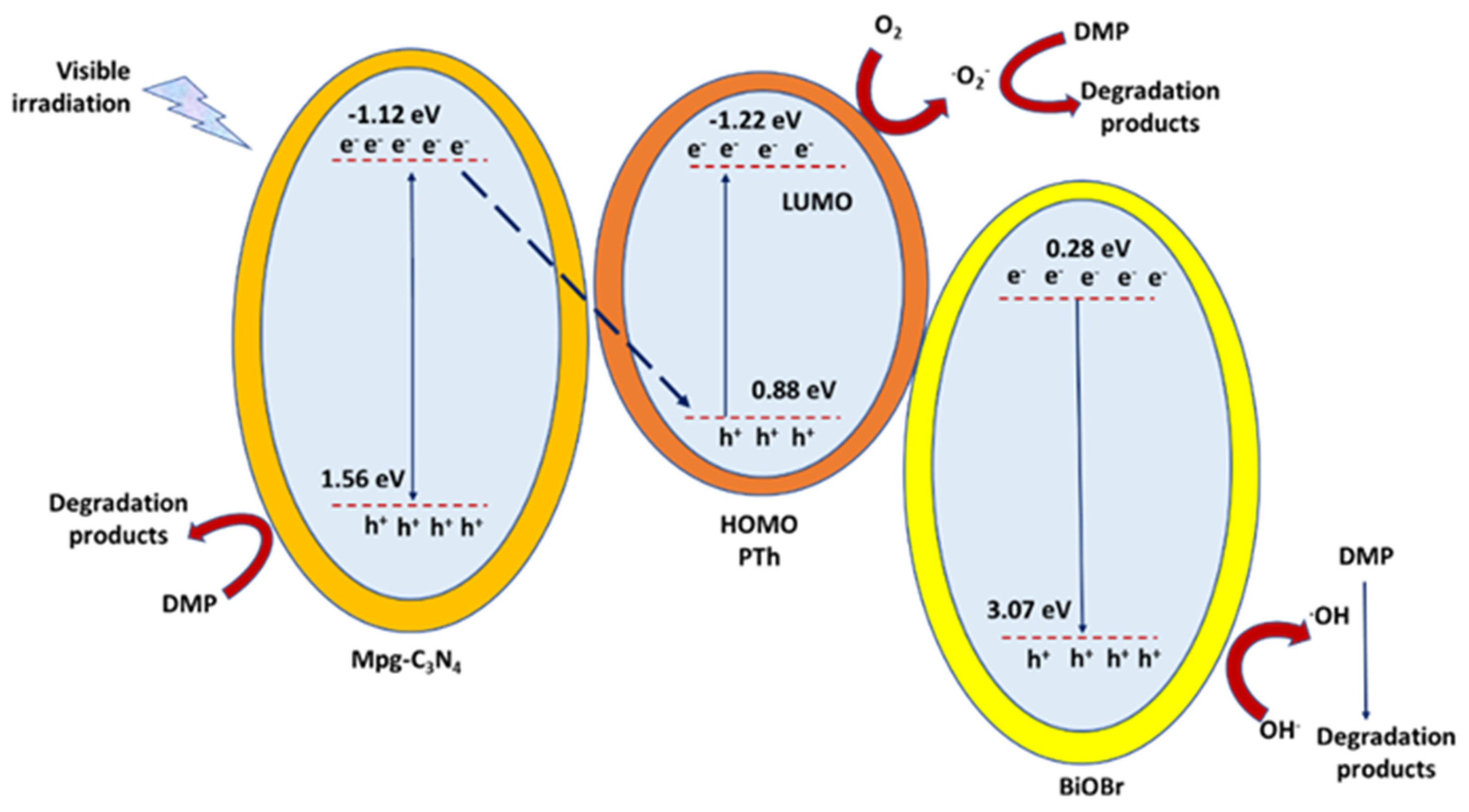 Catalysts 12 00289 g008