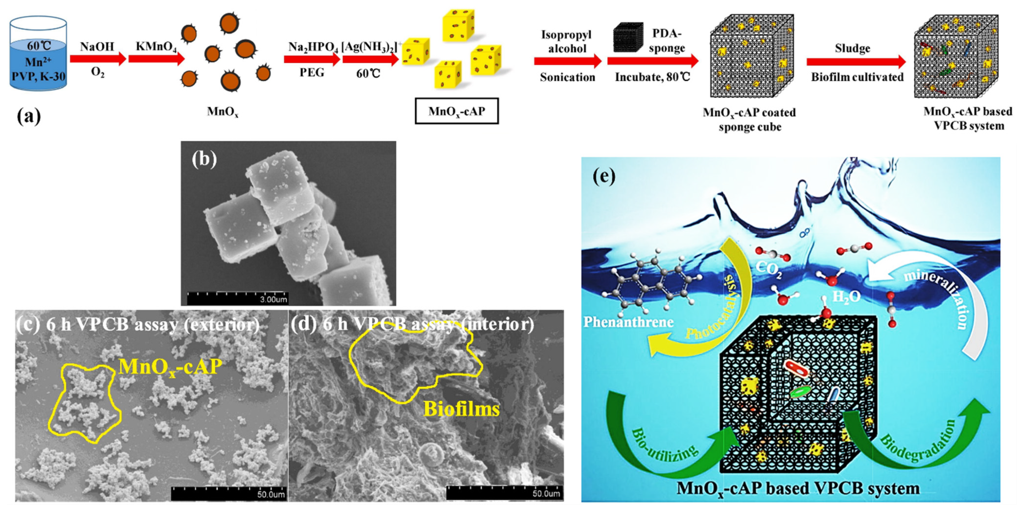 Catalysts 12 00289 g015
