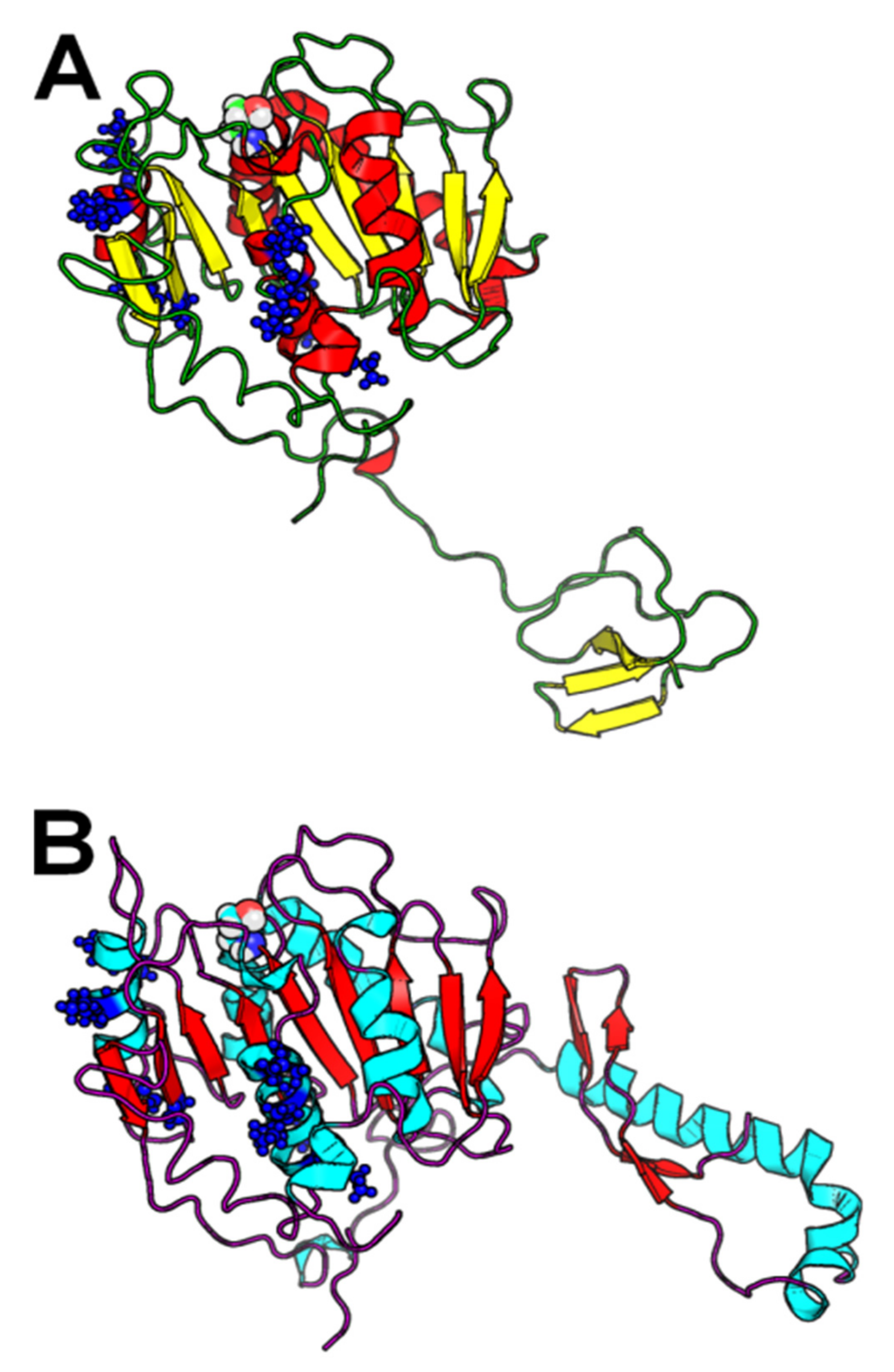 Catalysts 12 00303 g002