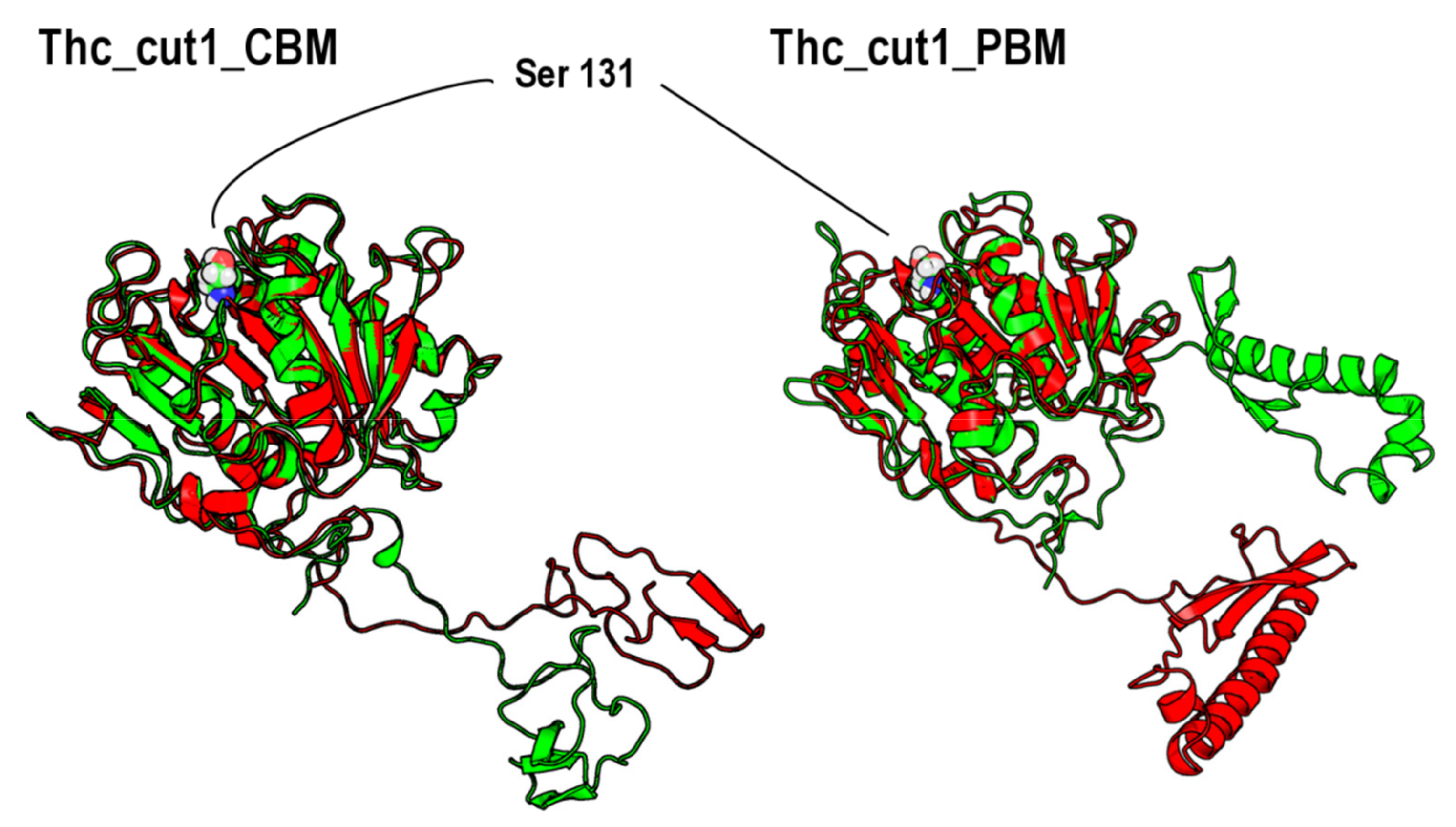 Catalysts 12 00303 g004