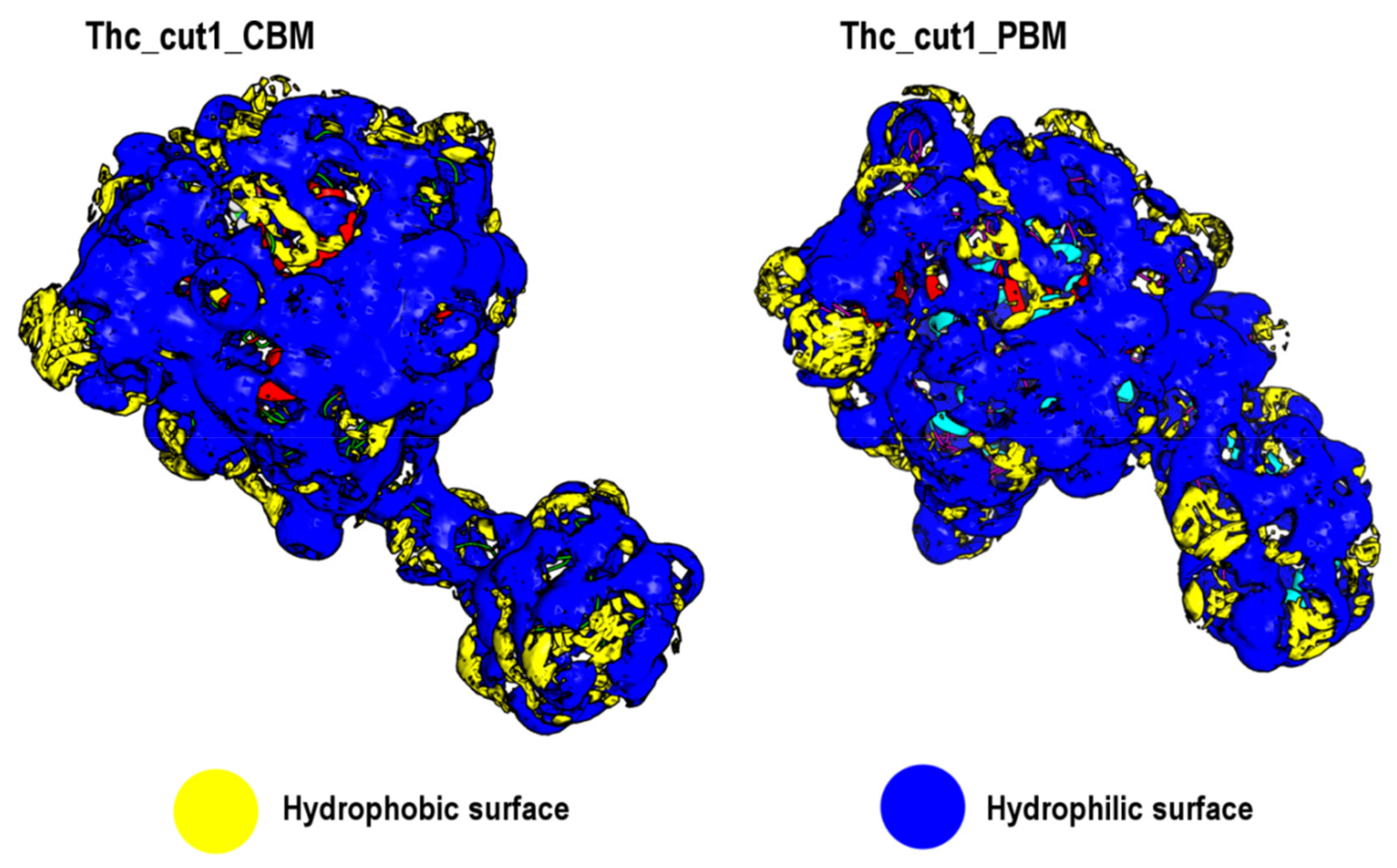 Catalysts 12 00303 g005