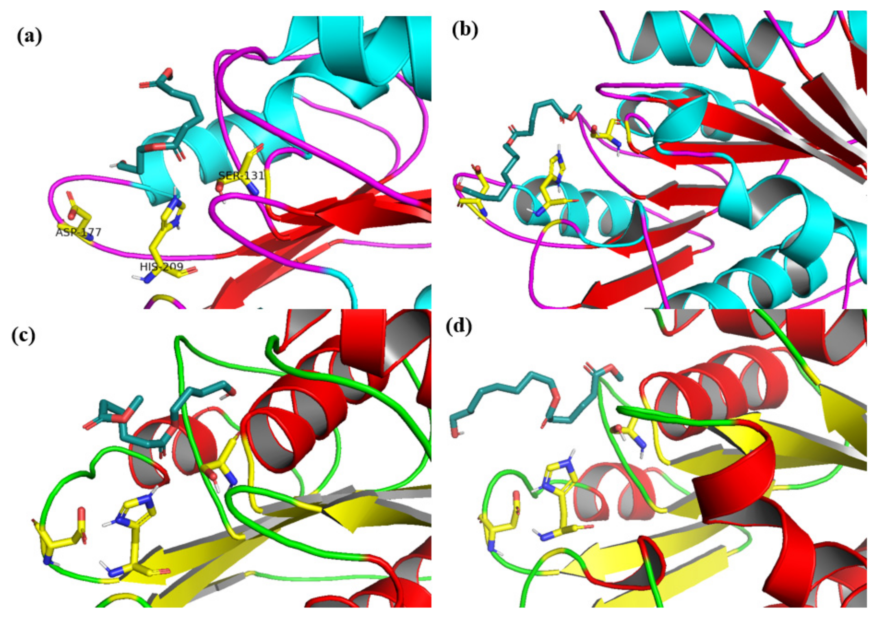 Catalysts 12 00303 g006