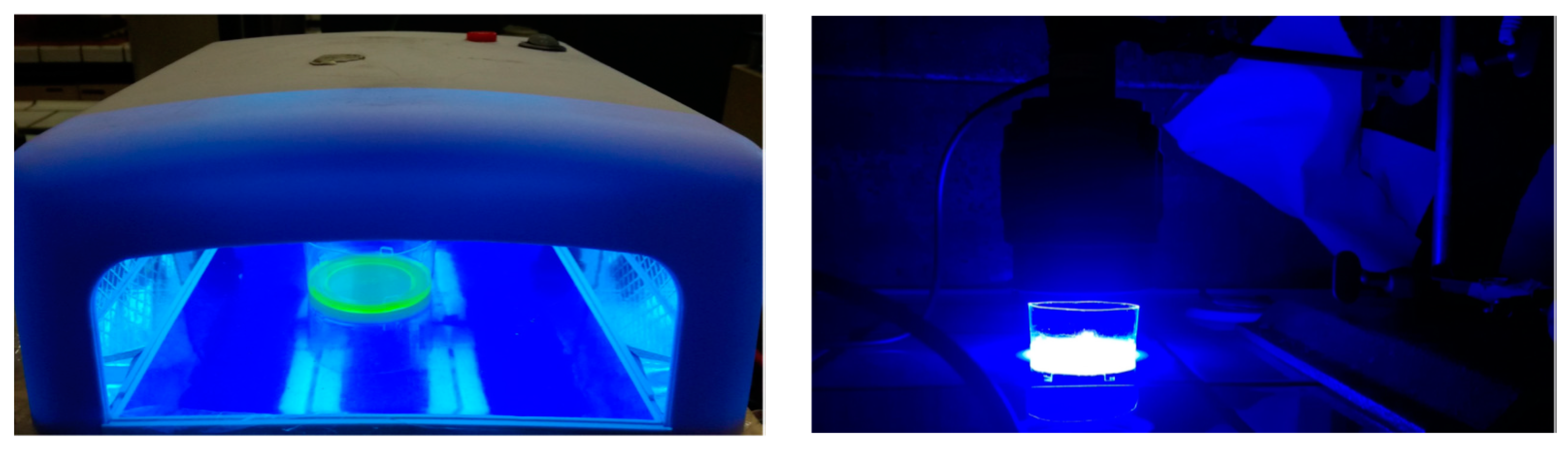 Catalysts 12 00307 g004