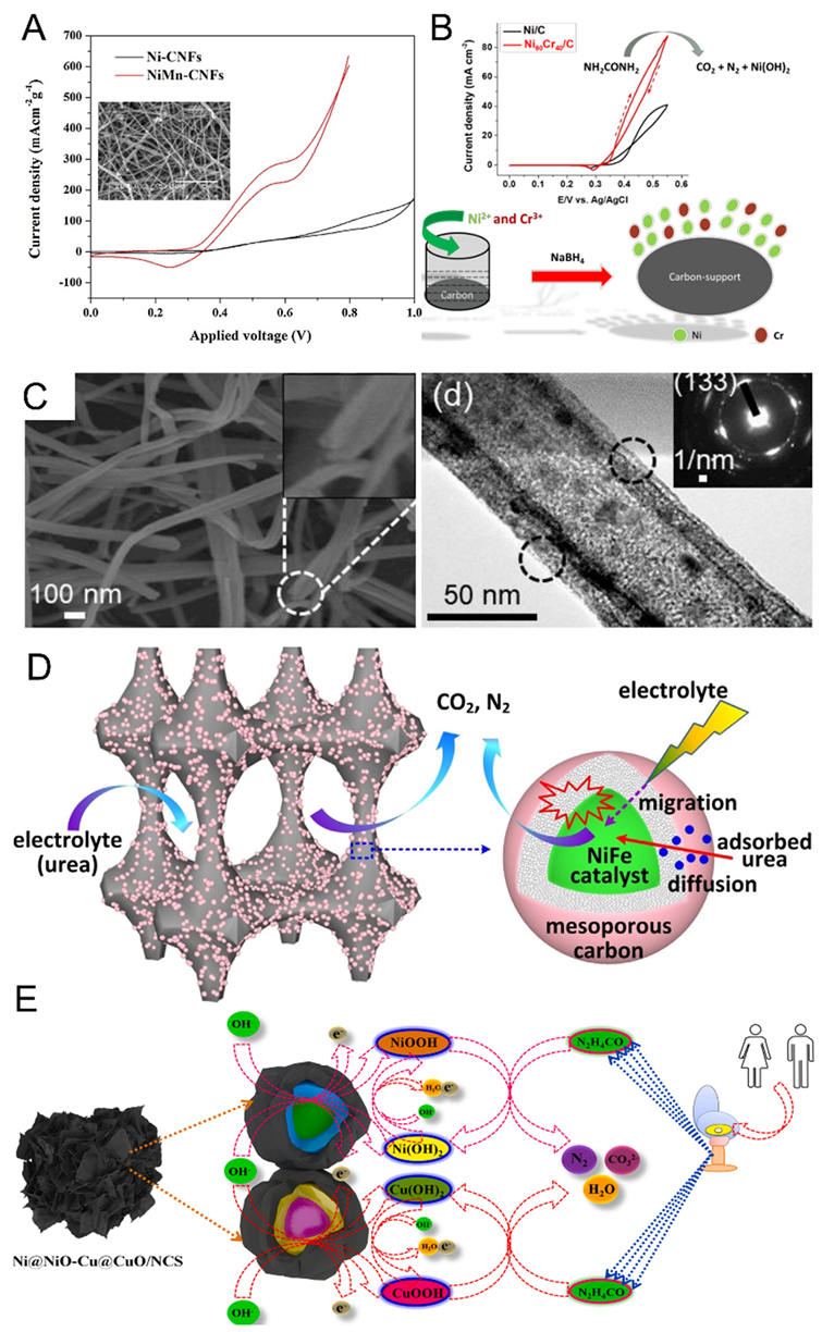 Catalysts 12 00337 g004