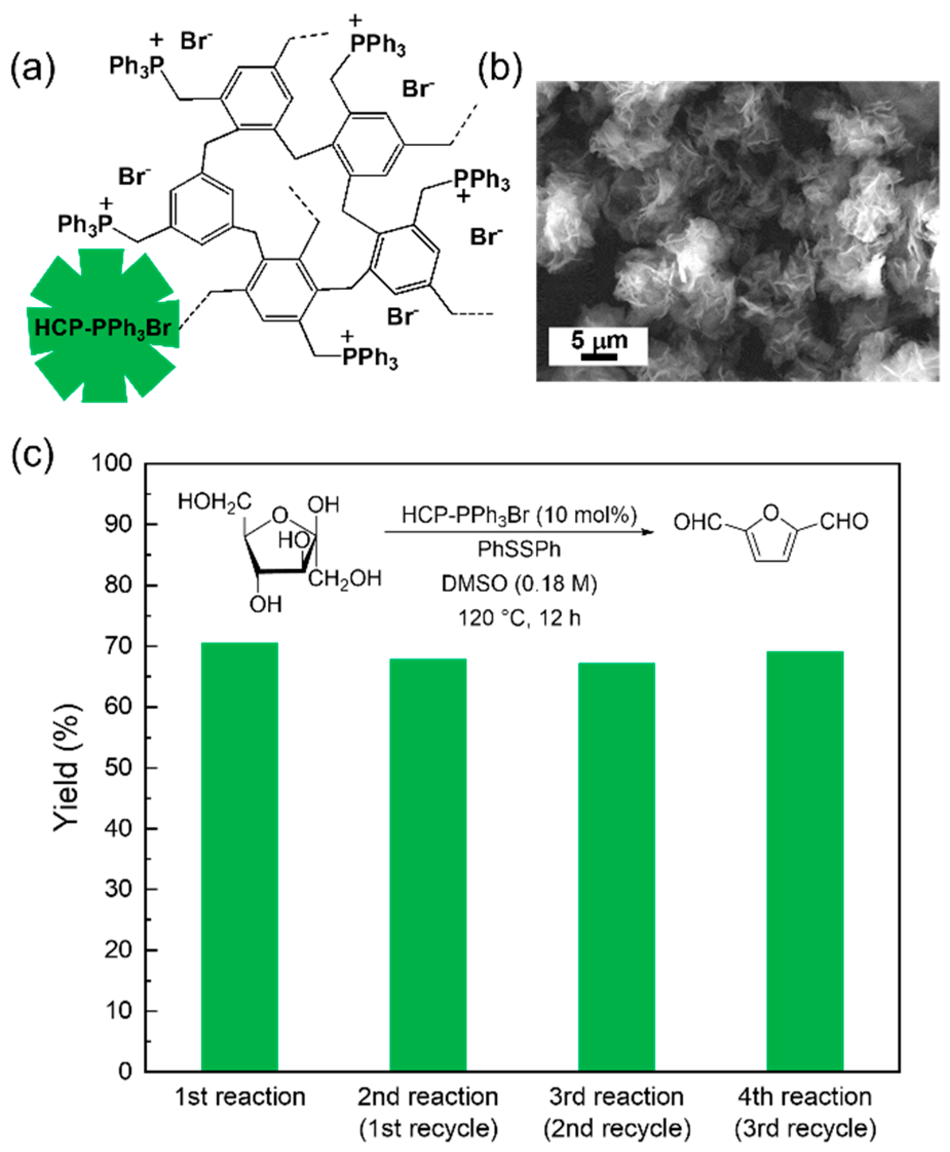 Catalysts 12 00360 g003