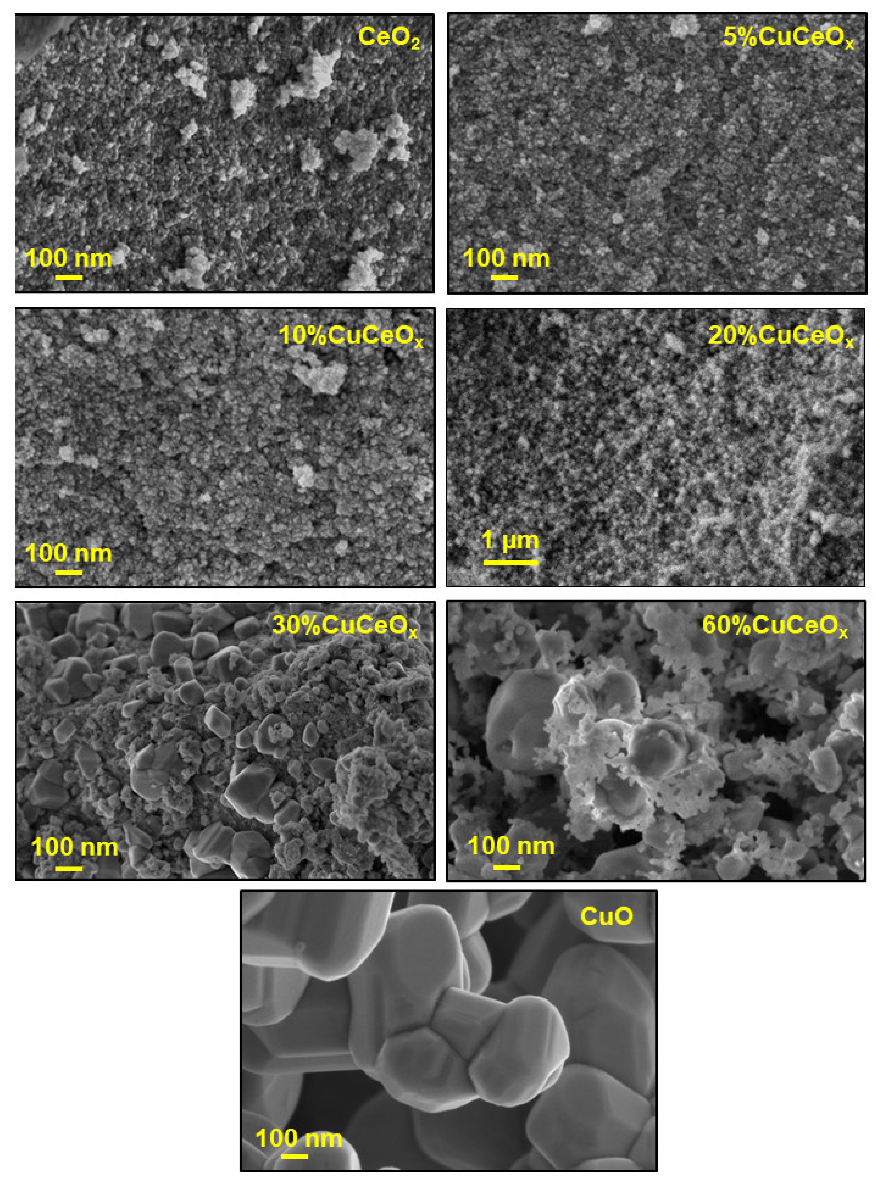 Catalysts 12 00364 g002