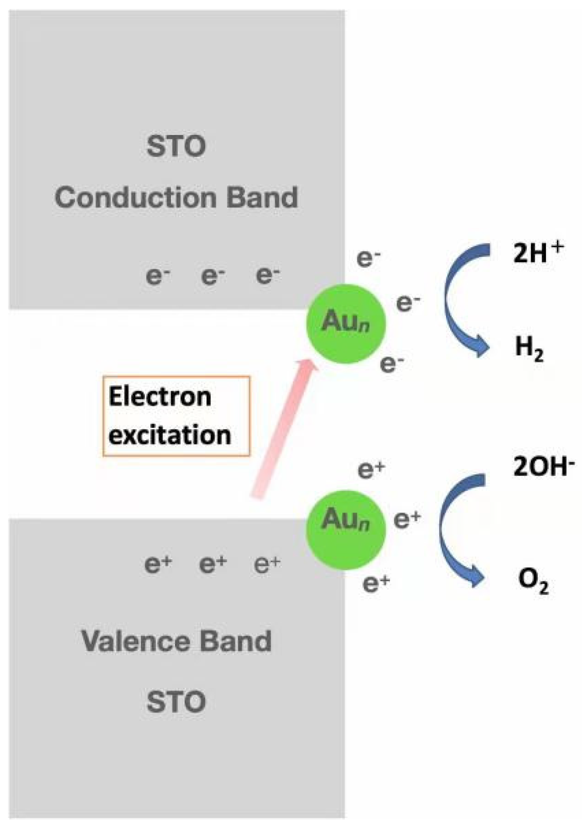 Catalysts 12 00367 g006
