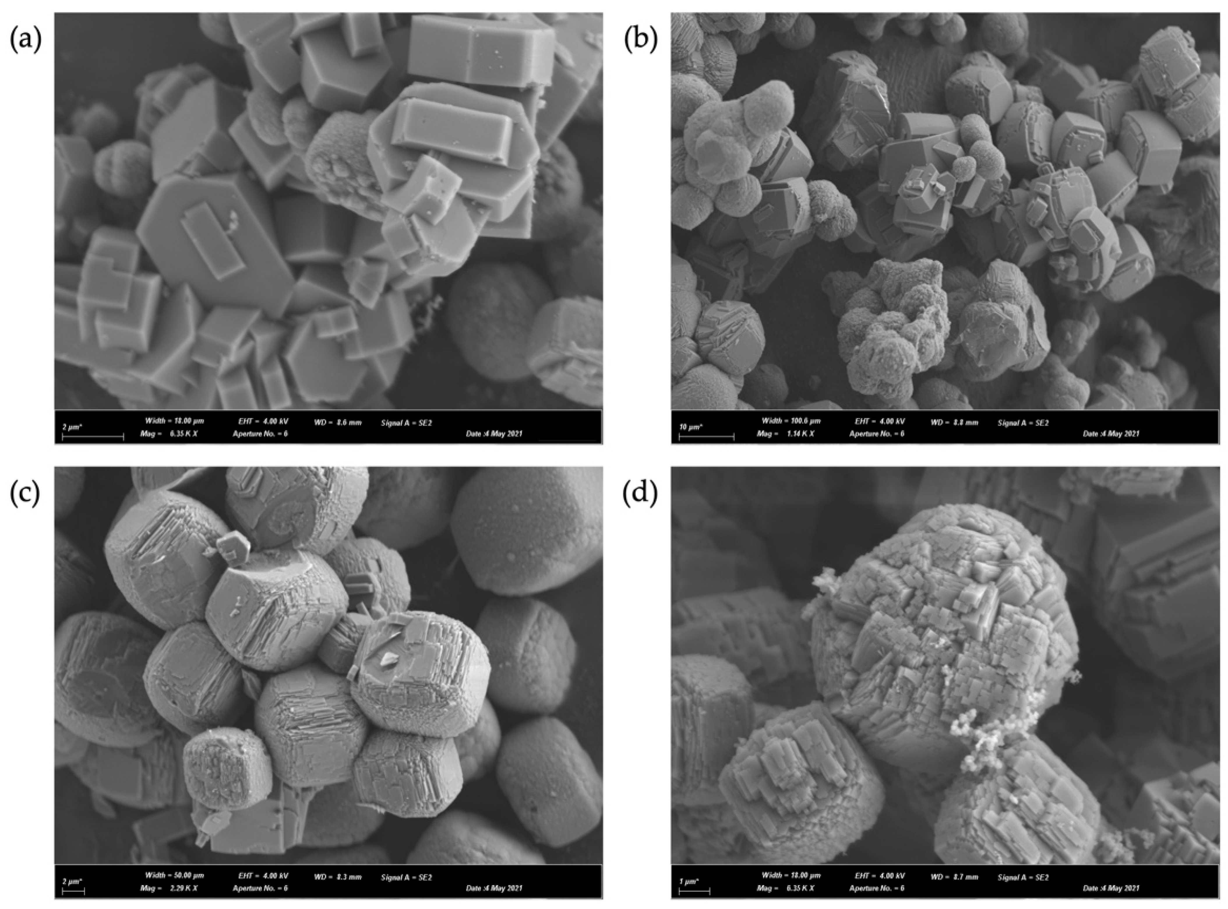 Catalysts 12 00368 g004 Catalysts 12 00368 g004