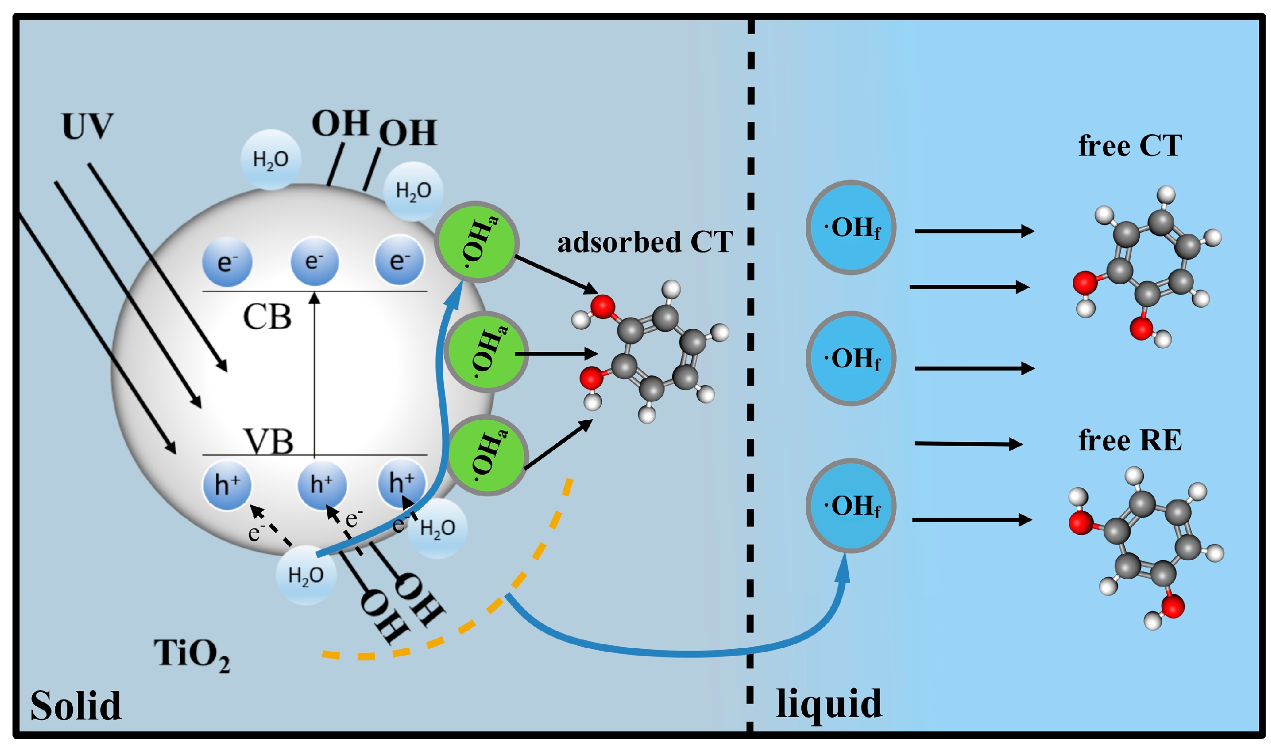 Catalysts 12 00378 g007