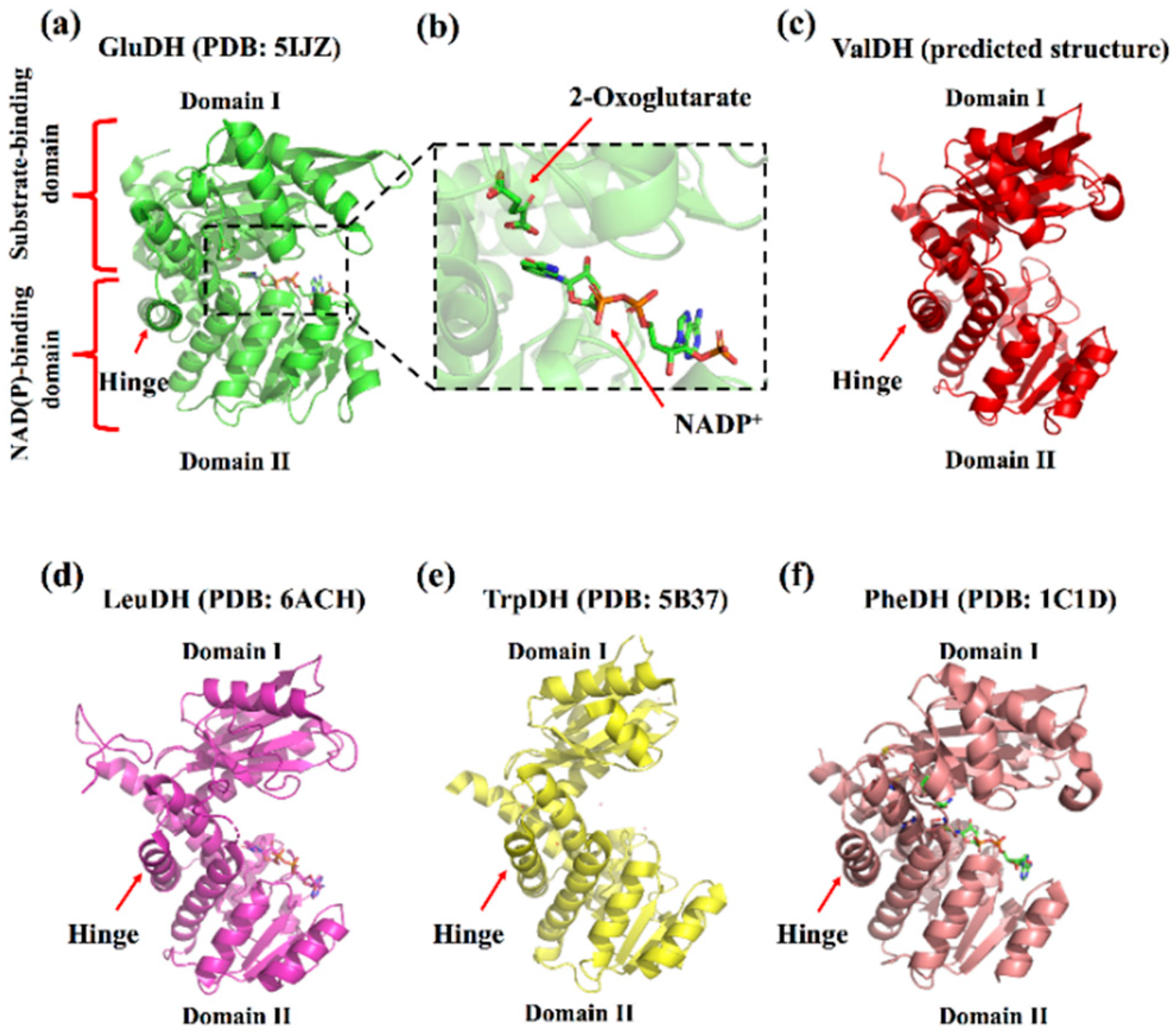 Catalysts 12 00380 g001