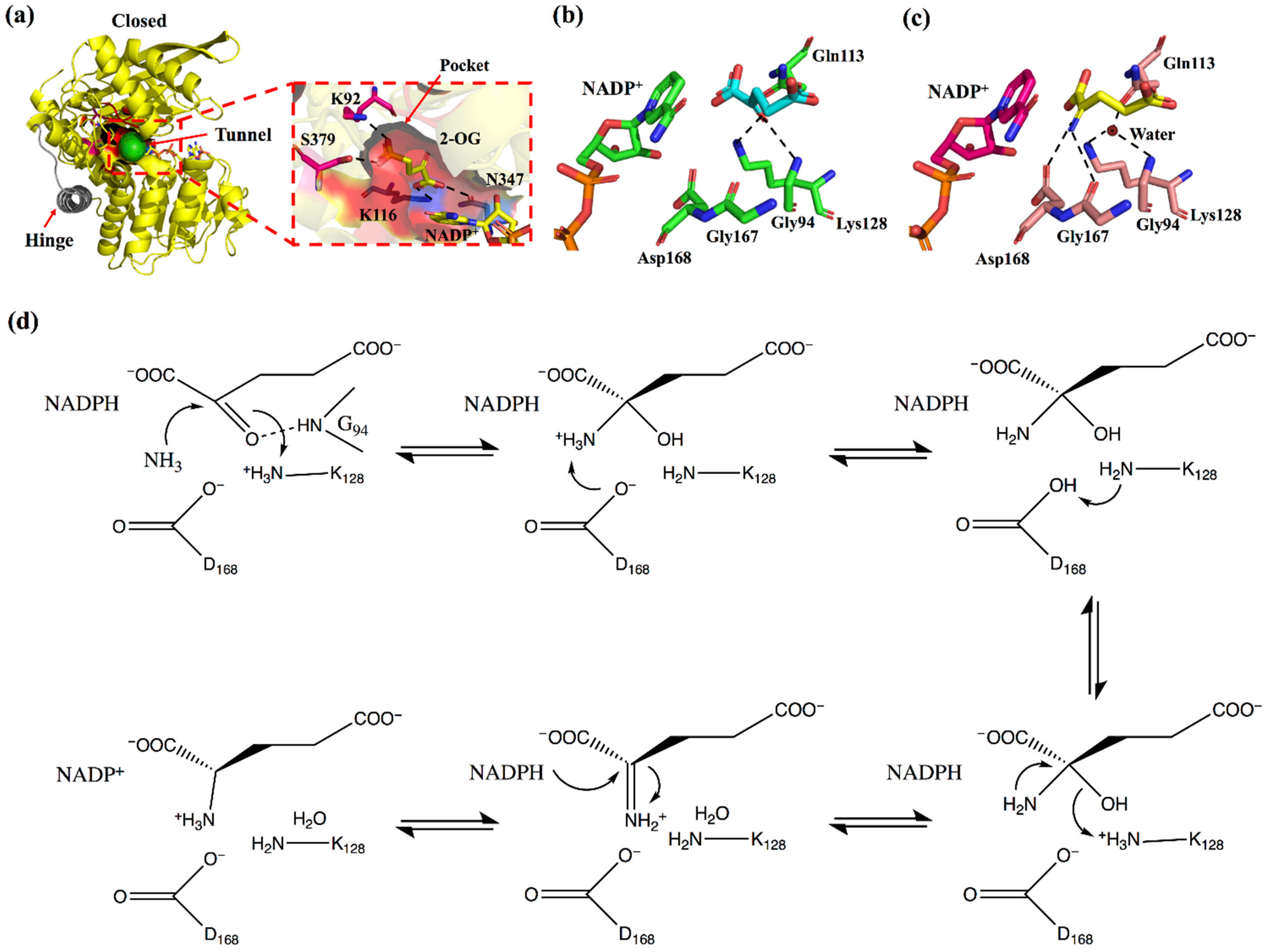 Catalysts 12 00380 g003