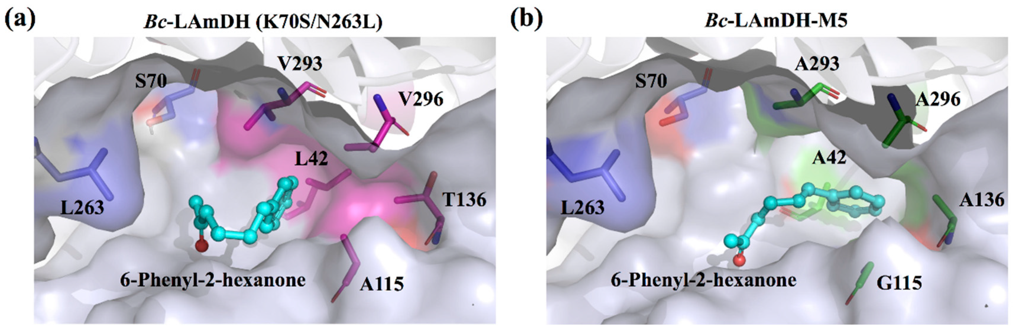 Catalysts 12 00380 g005