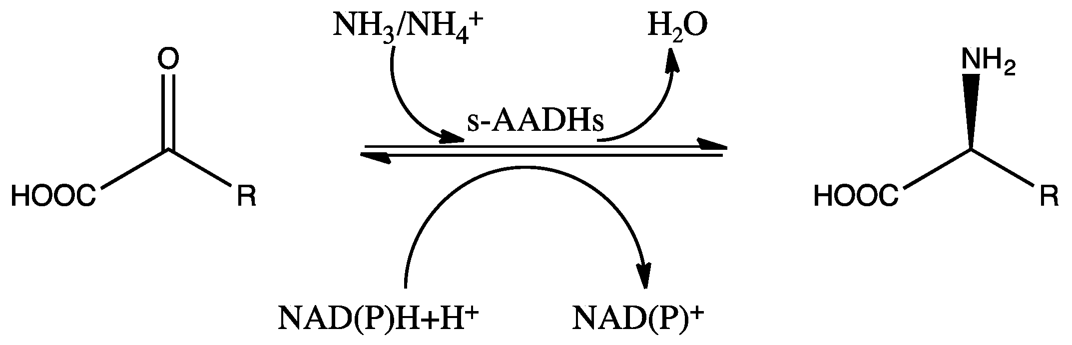 Catalysts 12 00380 sch001