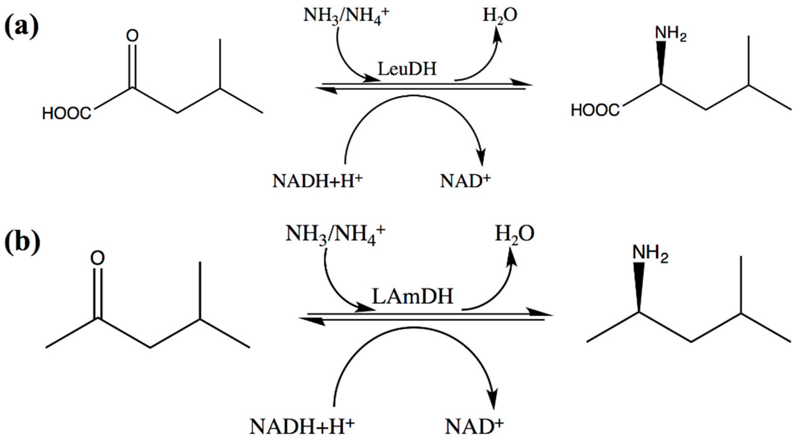Catalysts 12 00380 sch002