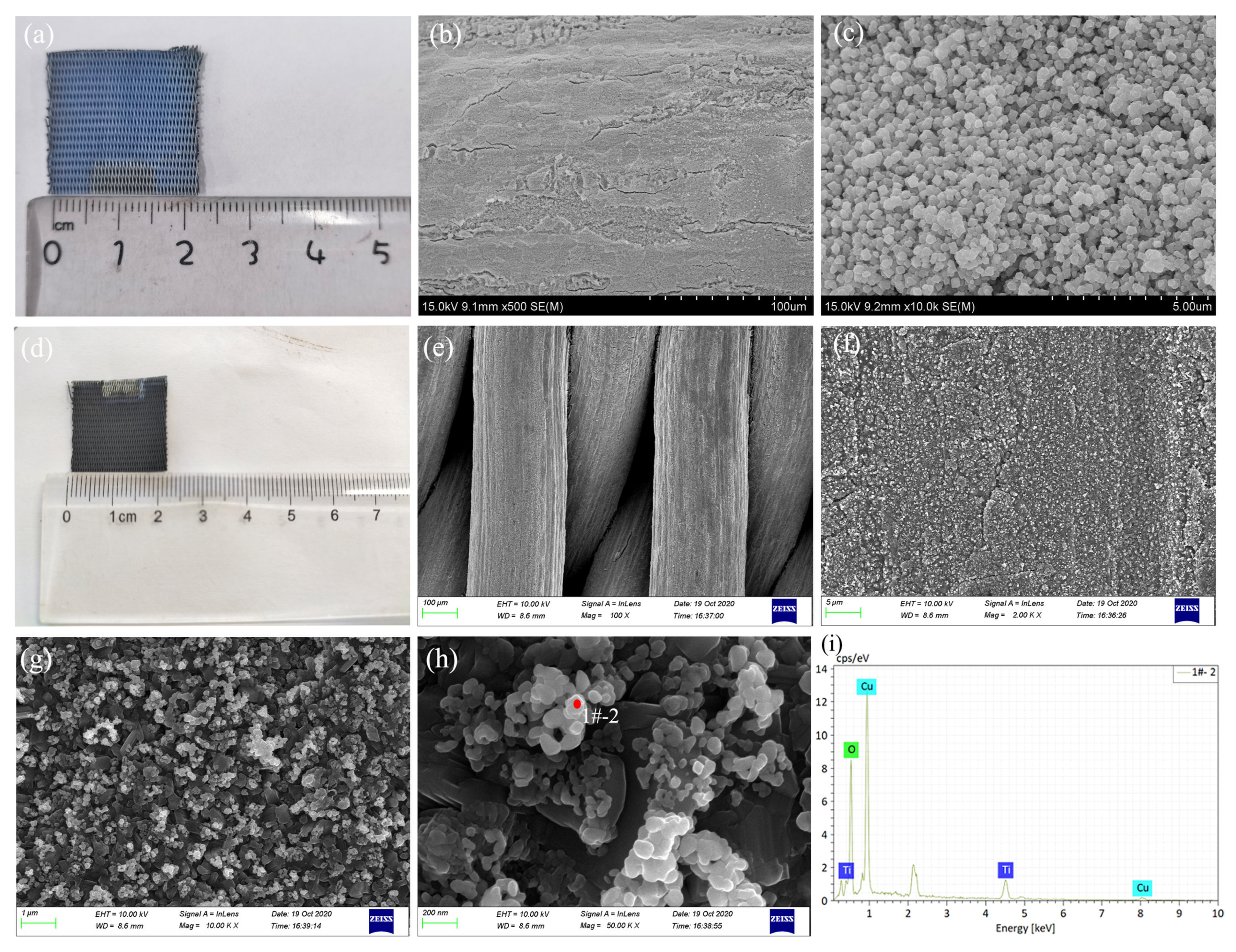Catalysts 12 00383 g001