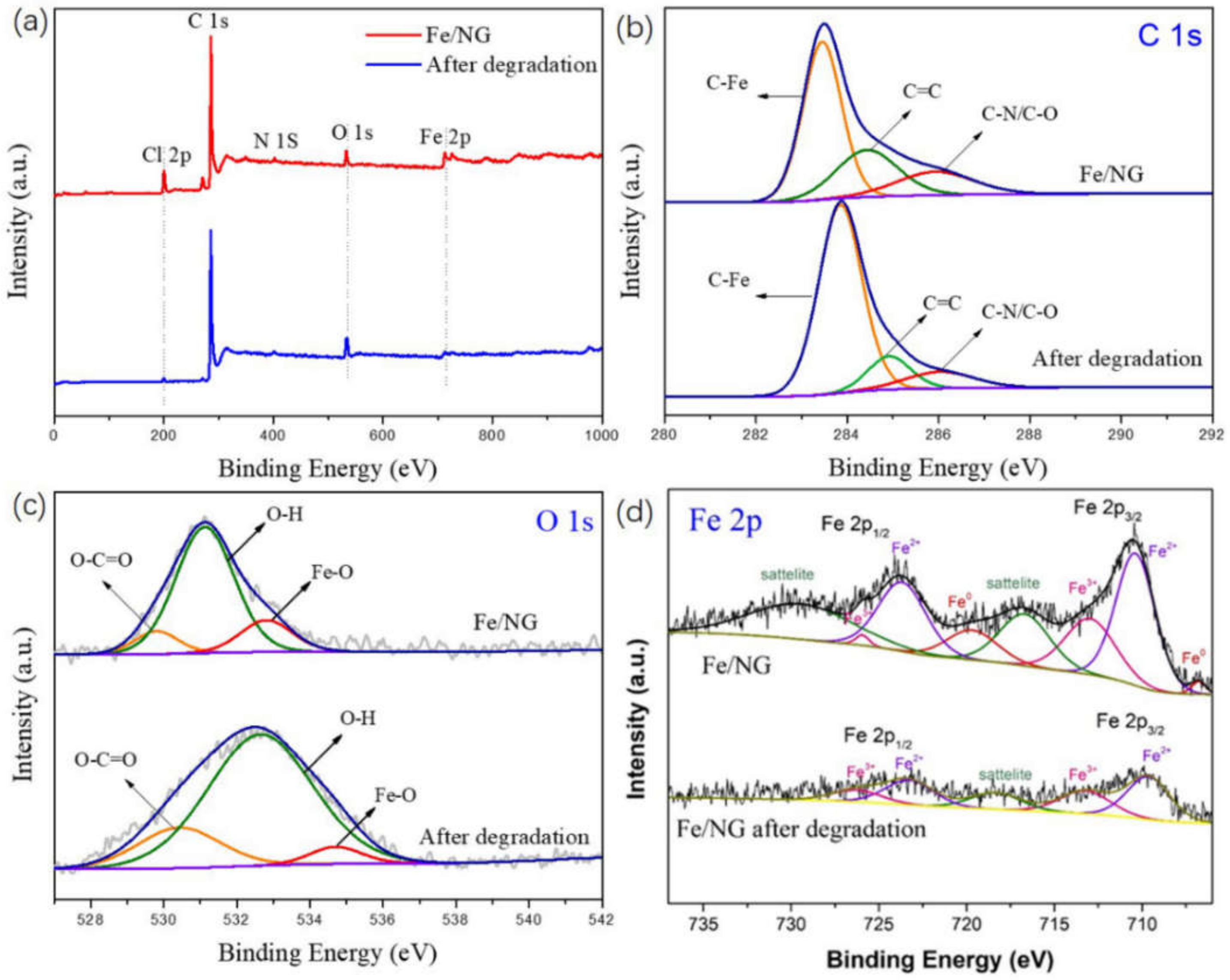 Catalysts 12 00388 g004