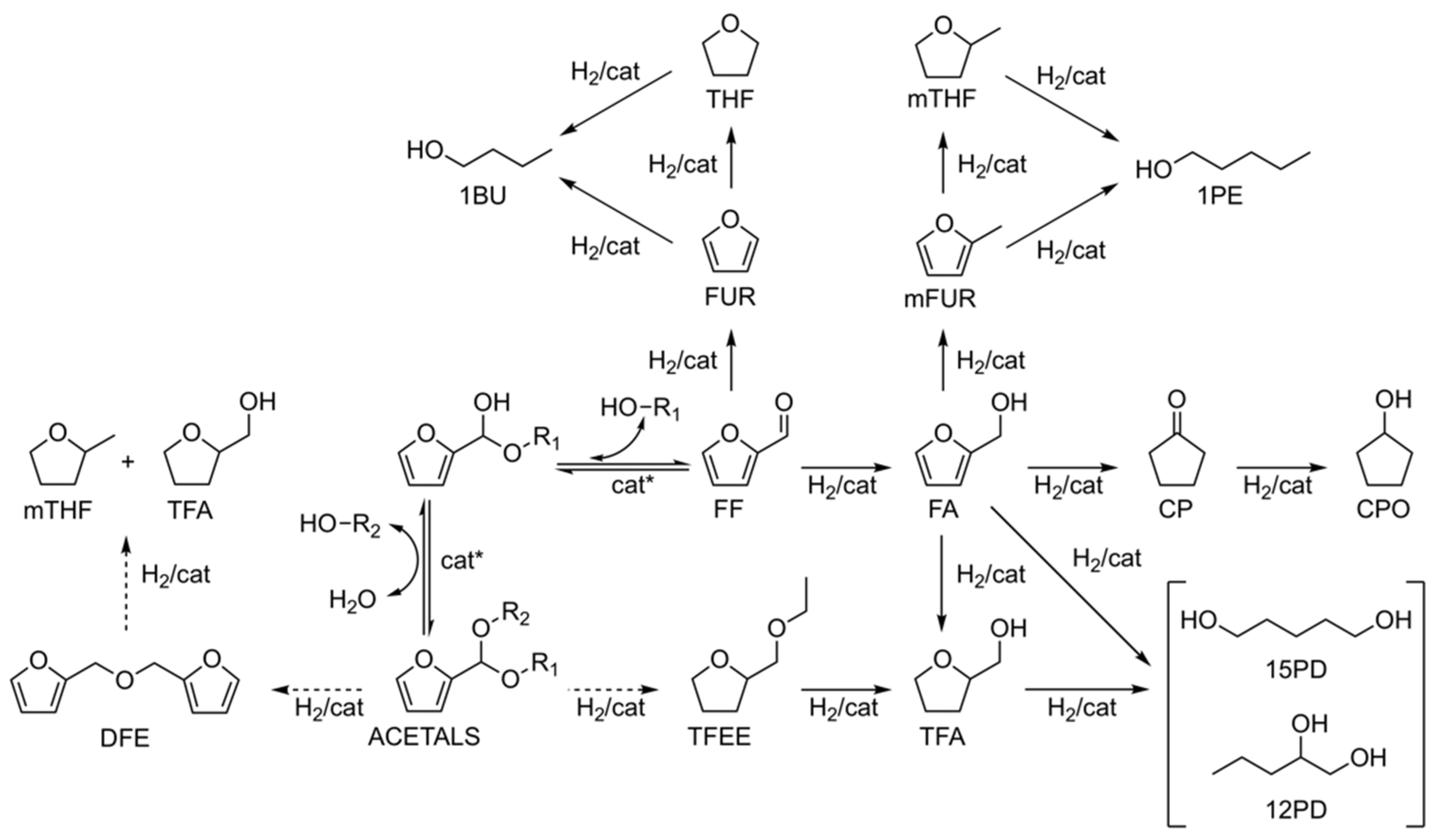 Catalysts 12 00390 sch001