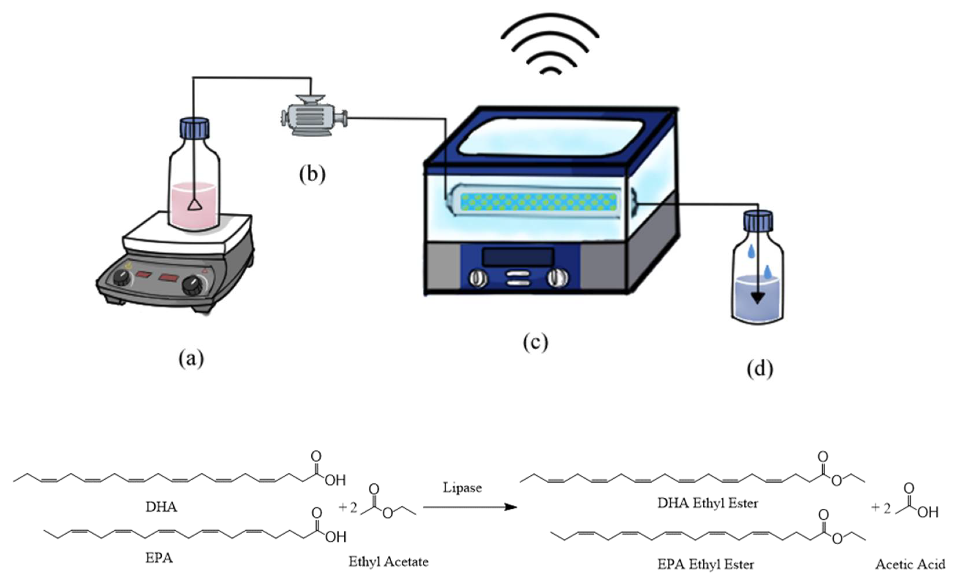 Catalysts 12 00404 g001