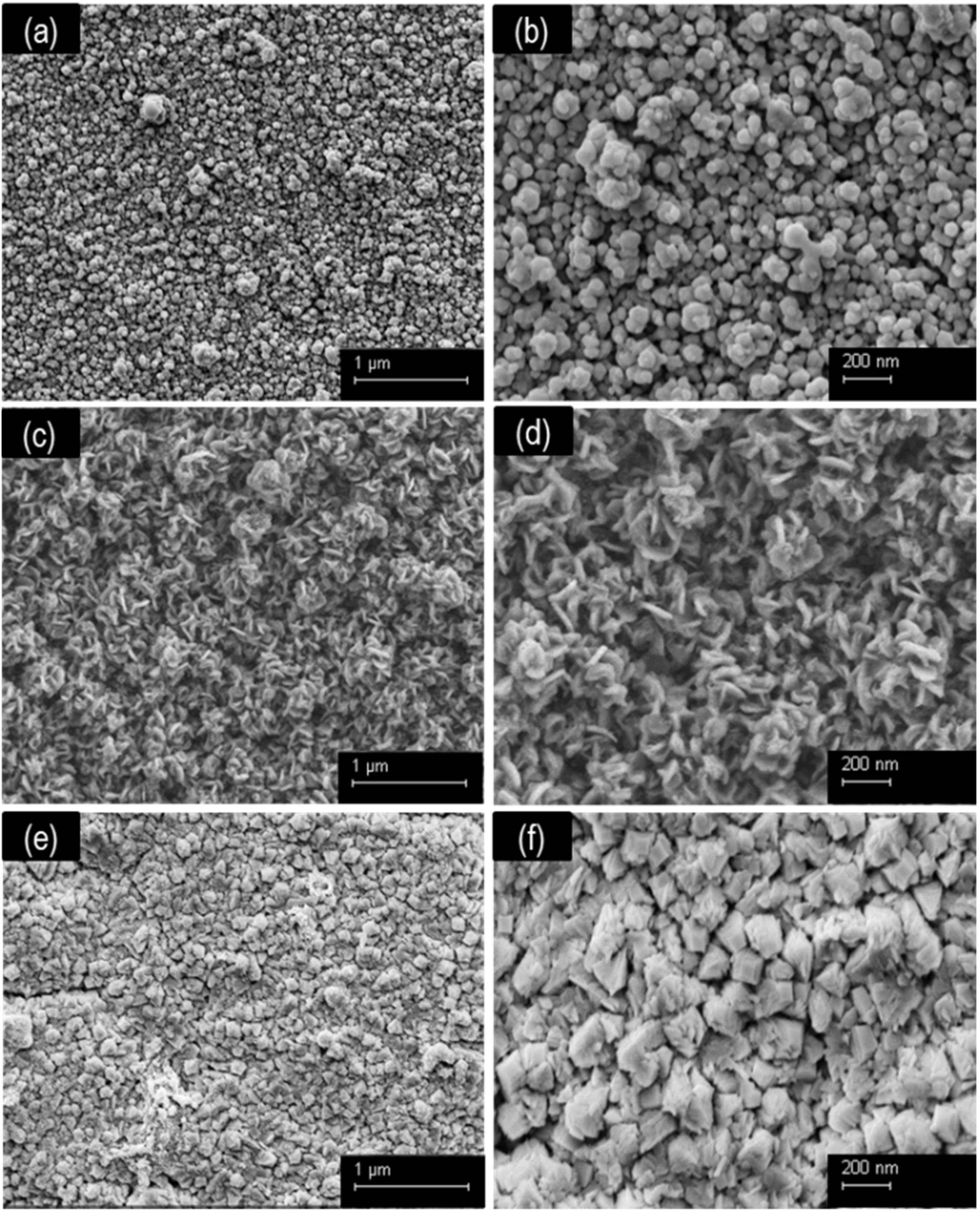 Catalysts 12 00411 g002