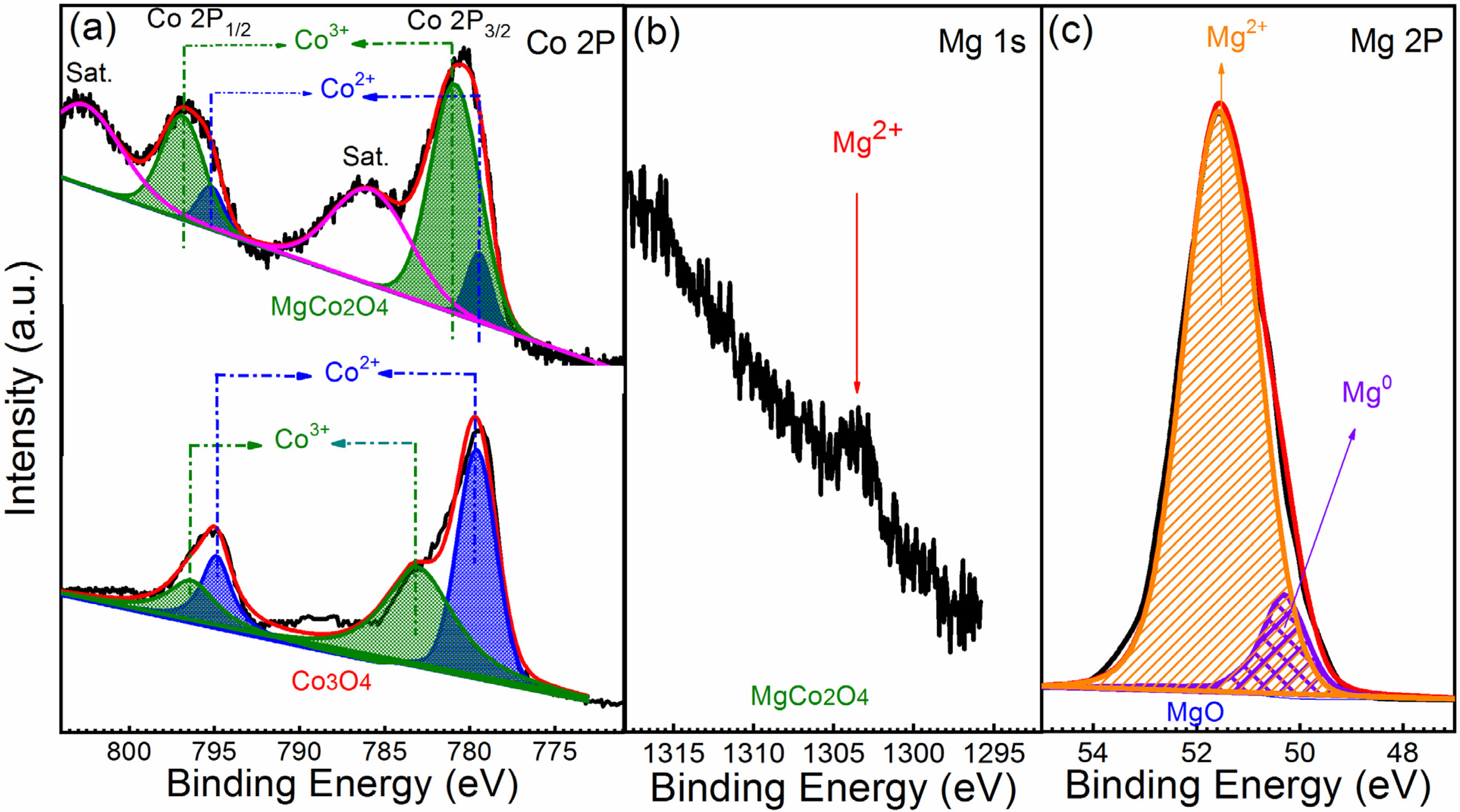 Catalysts 12 00411 g003