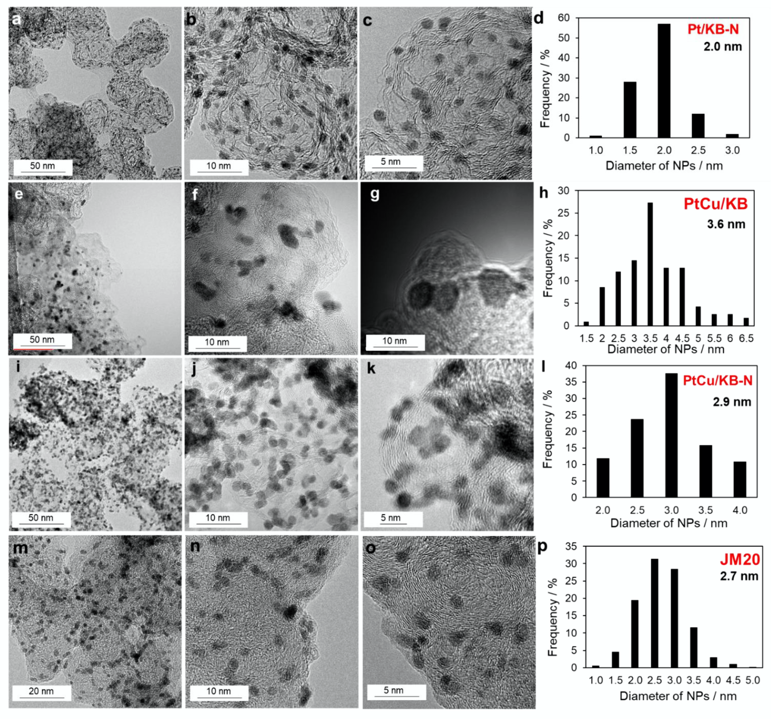 Catalysts 12 00414 g002