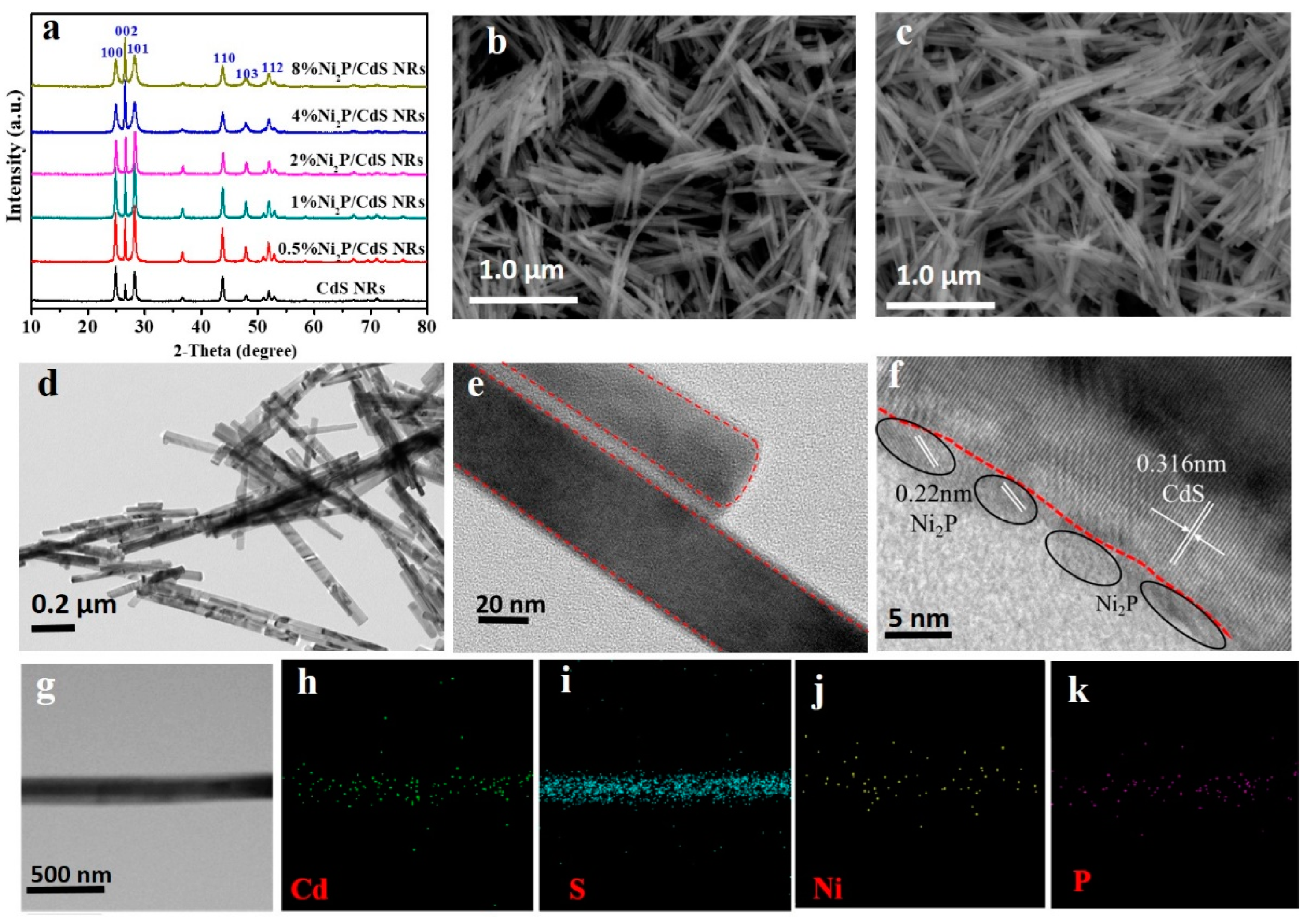Catalysts 12 00417 g001