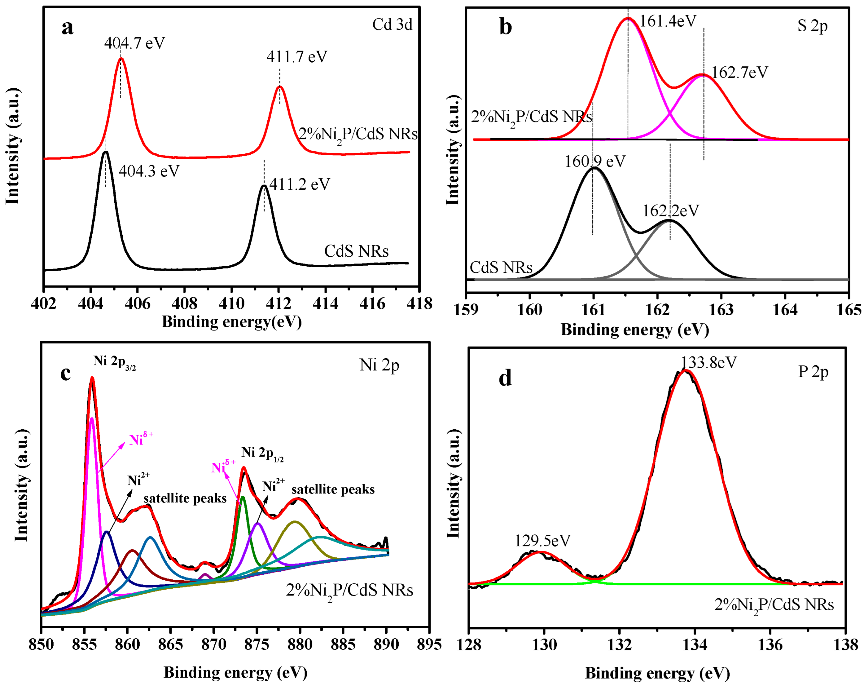 Catalysts 12 00417 g002