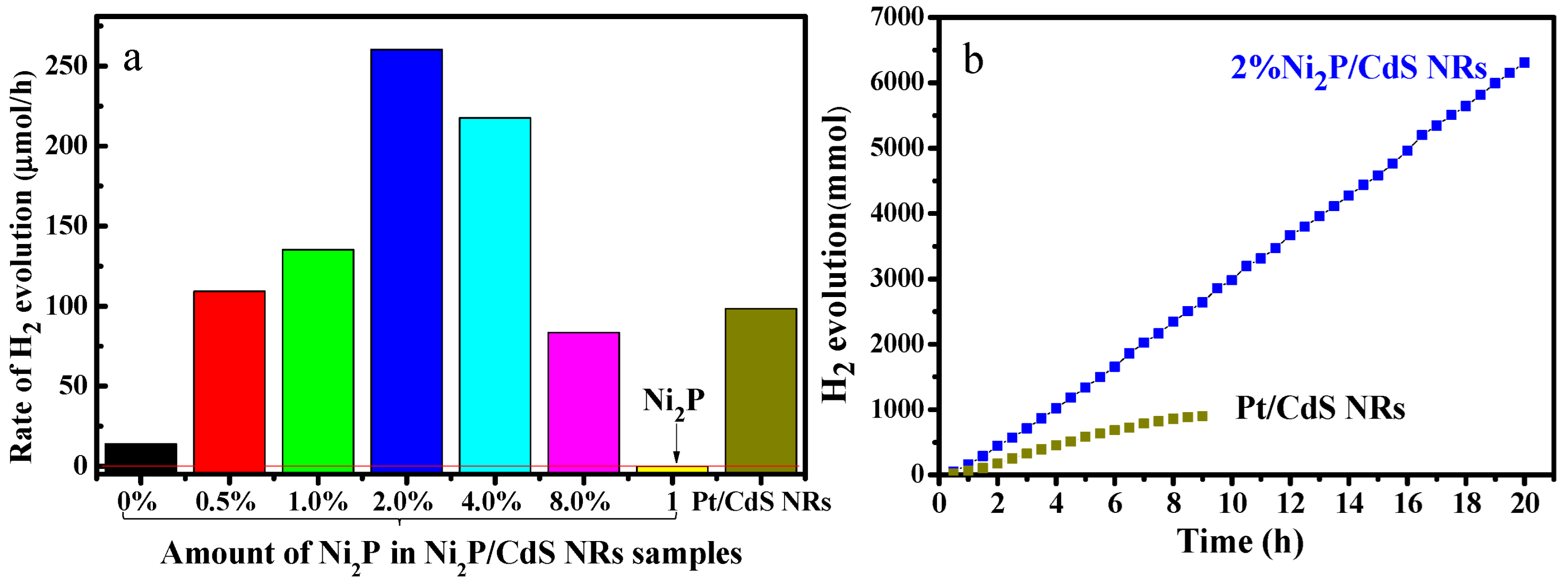 Catalysts 12 00417 g003