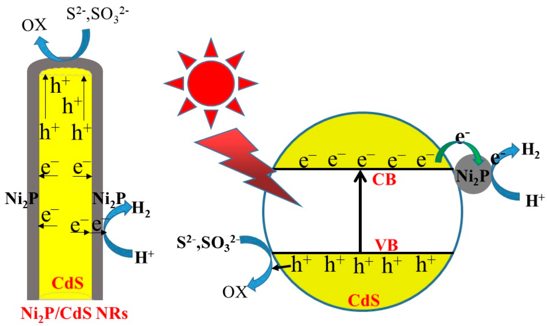 Catalysts 12 00417 g005
