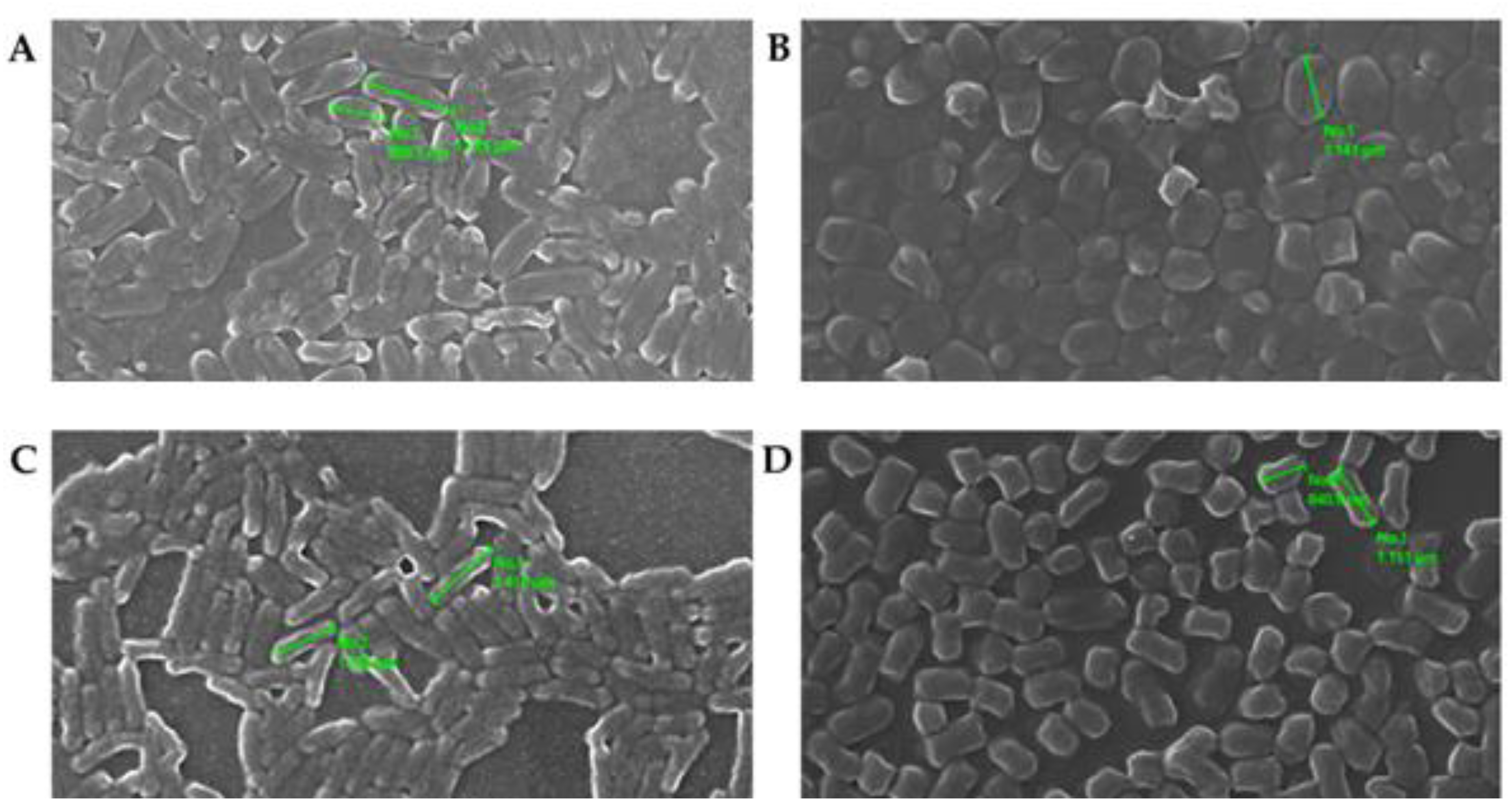 Catalysts 12 00433 g003