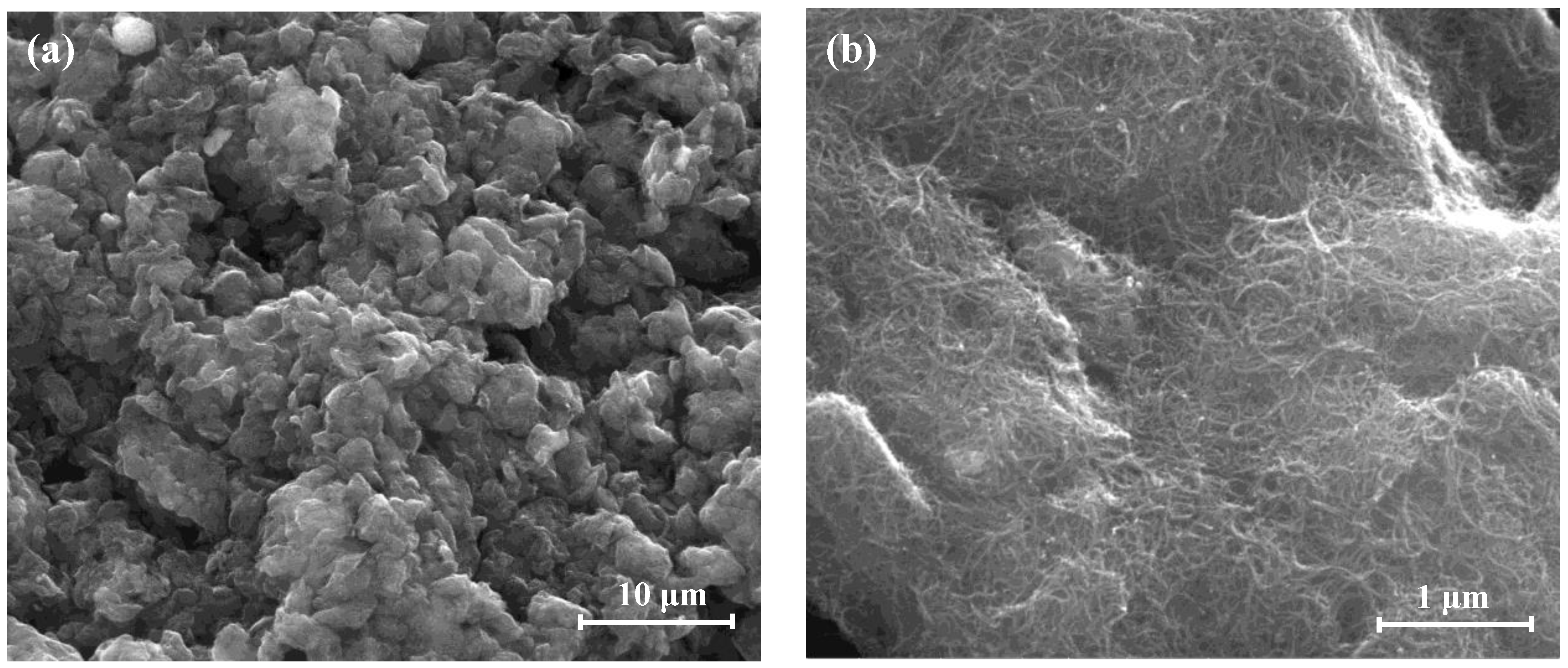 Catalysts 12 00440 g002 Catalysts 12 00440 g002
