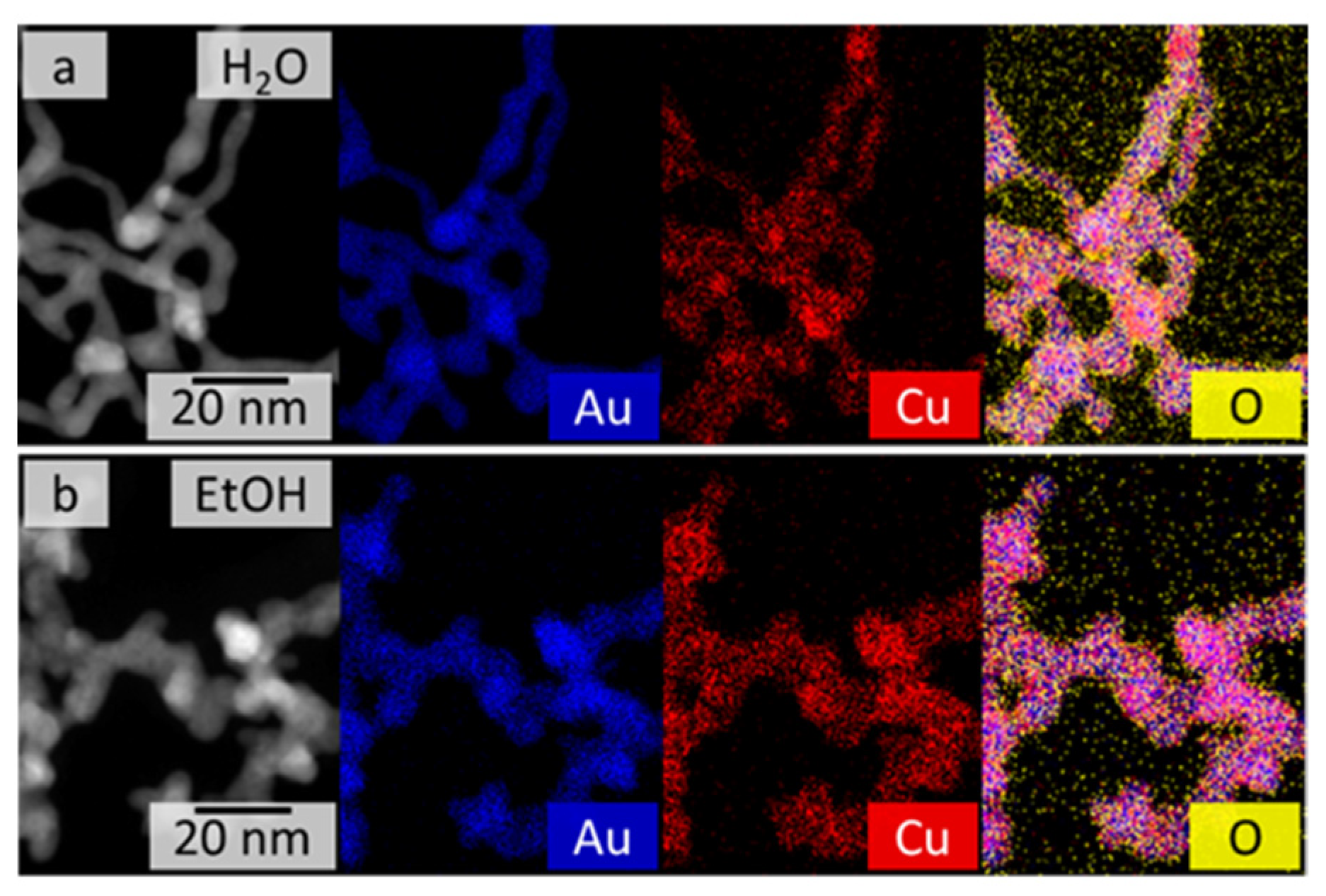 Catalysts 12 00441 g002