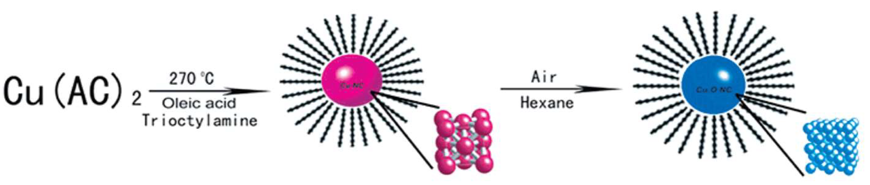 Catalysts 12 00445 g001
