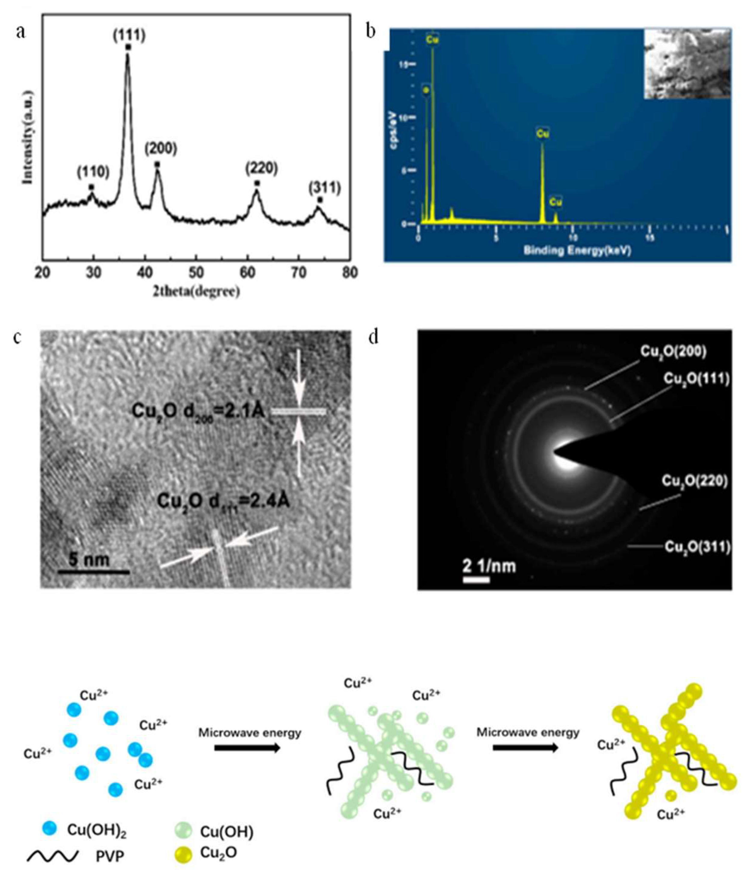 Catalysts 12 00445 g003