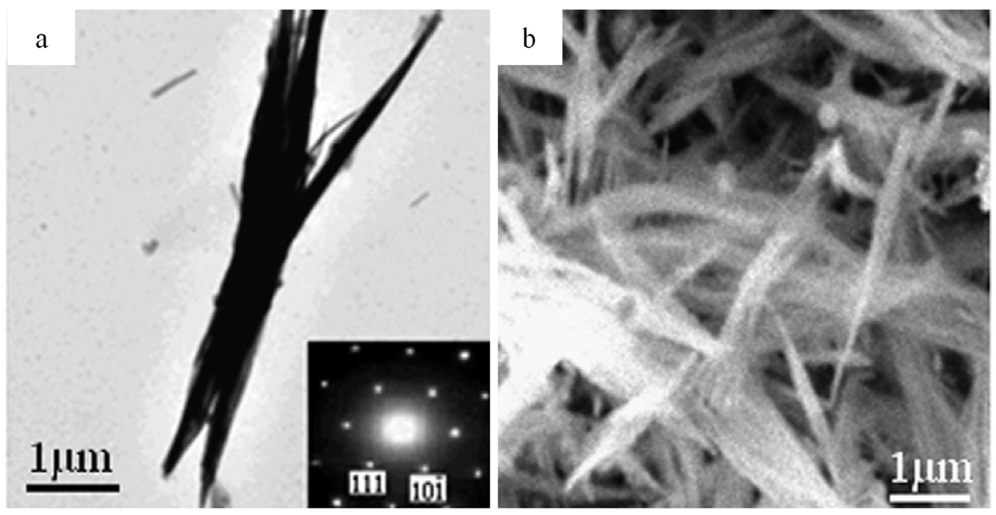 Catalysts 12 00445 g005