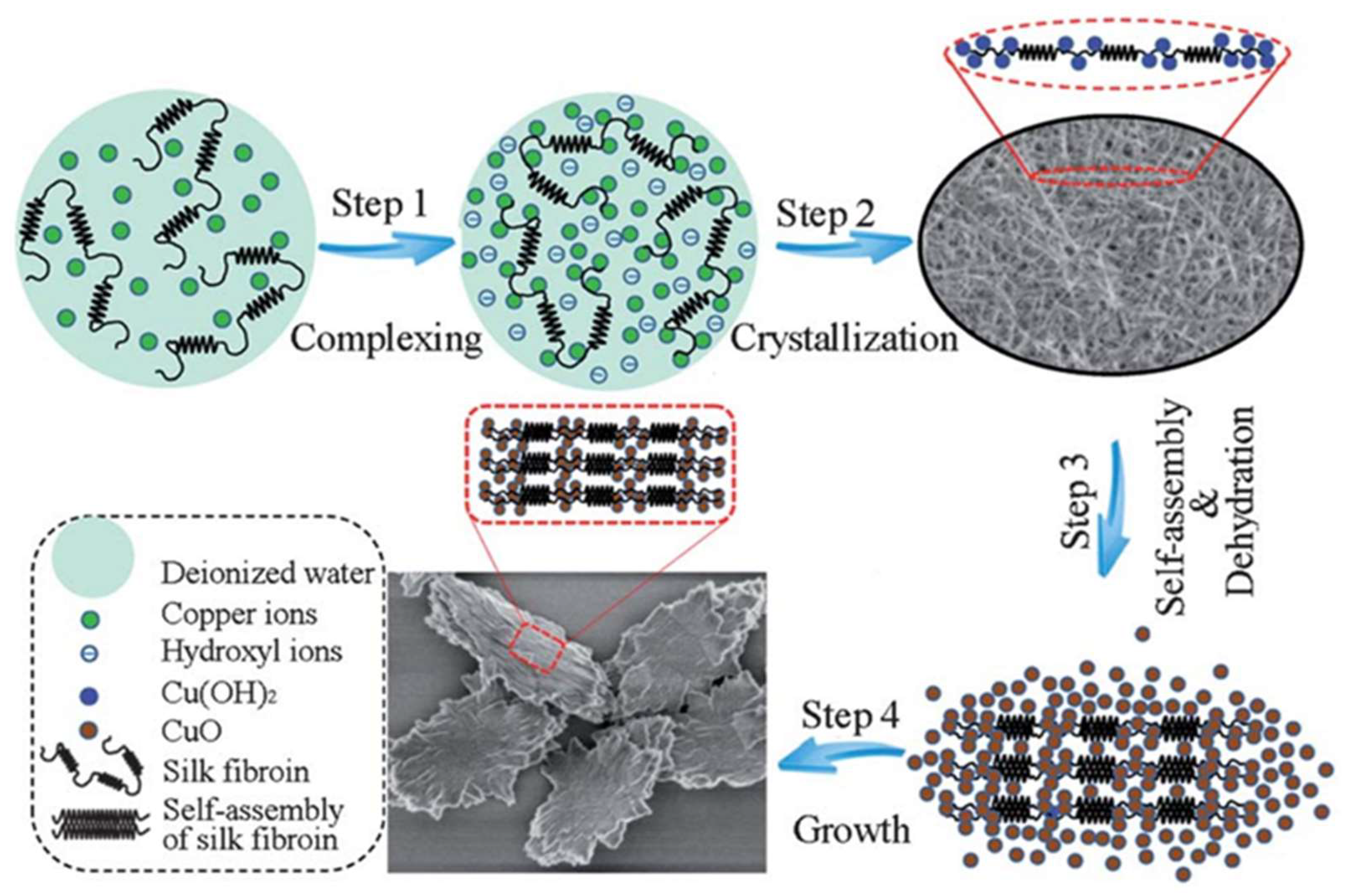 Catalysts 12 00445 g009