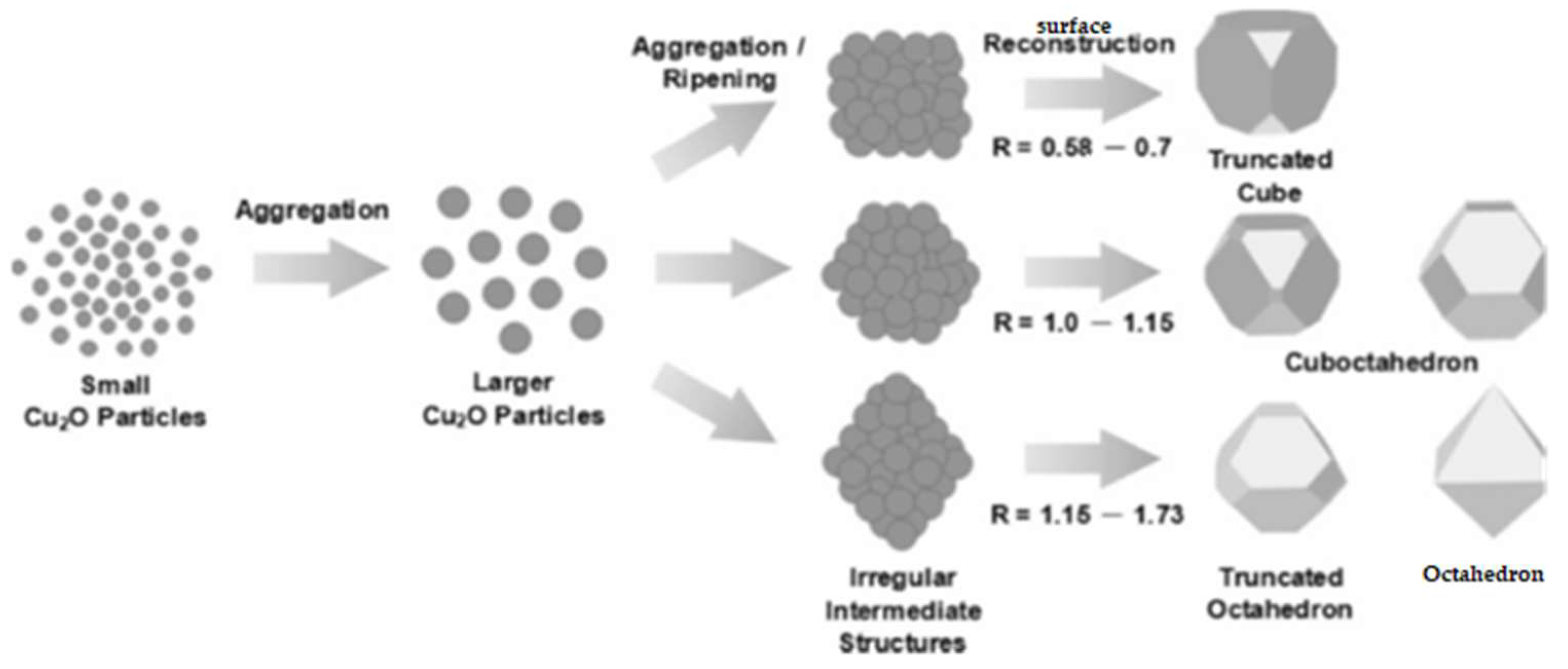 Catalysts 12 00445 g011