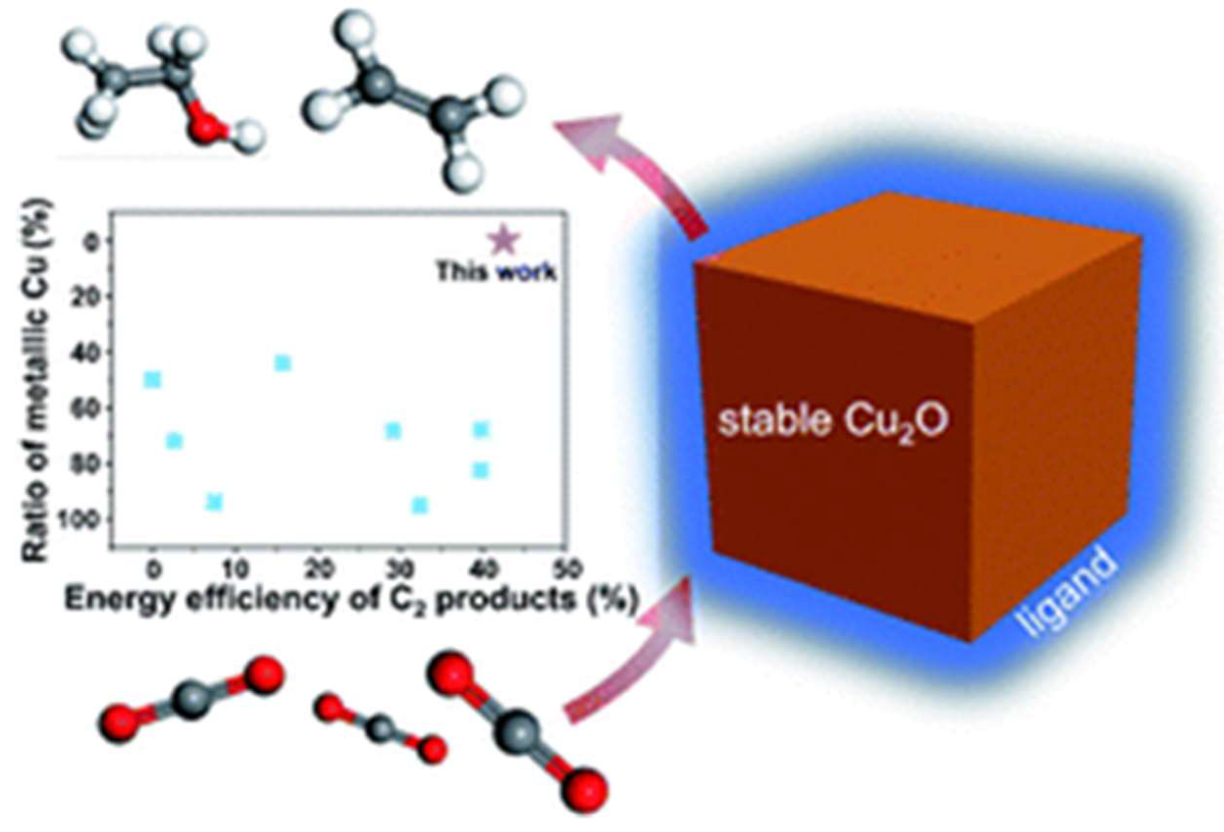 Catalysts 12 00445 g033