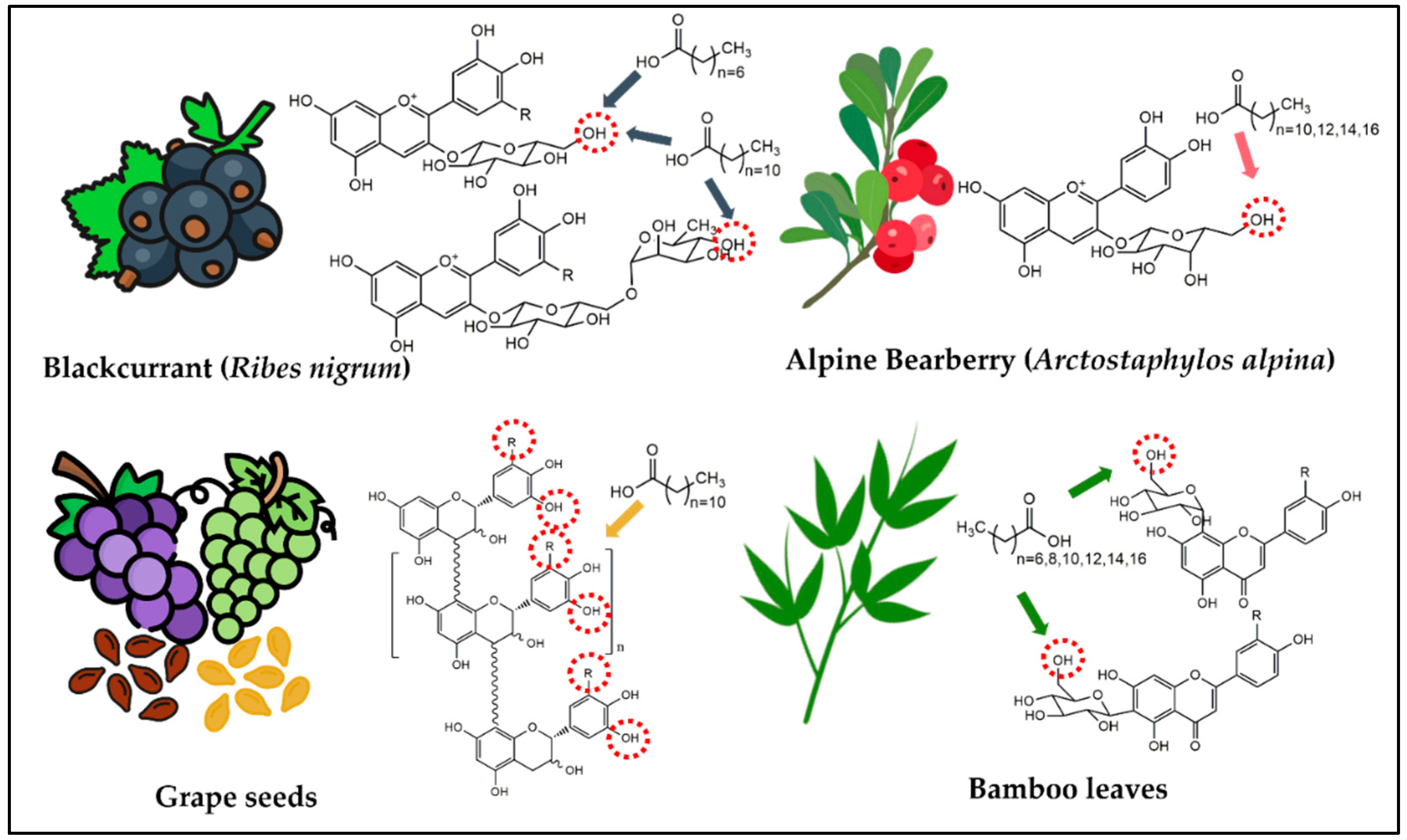 Catalysts 12 00447 g002