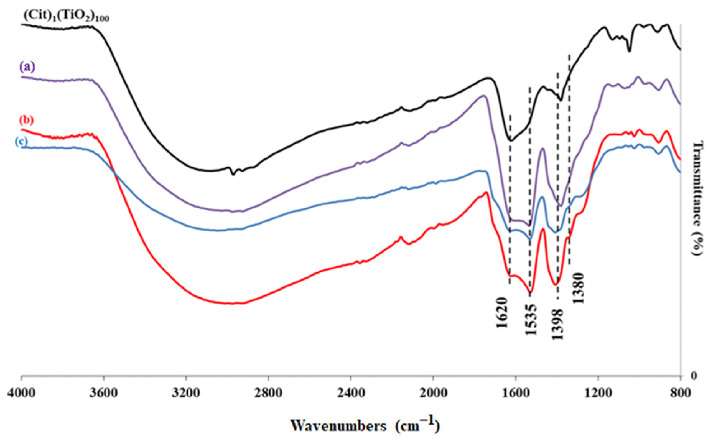 Catalysts 12 00448 g001