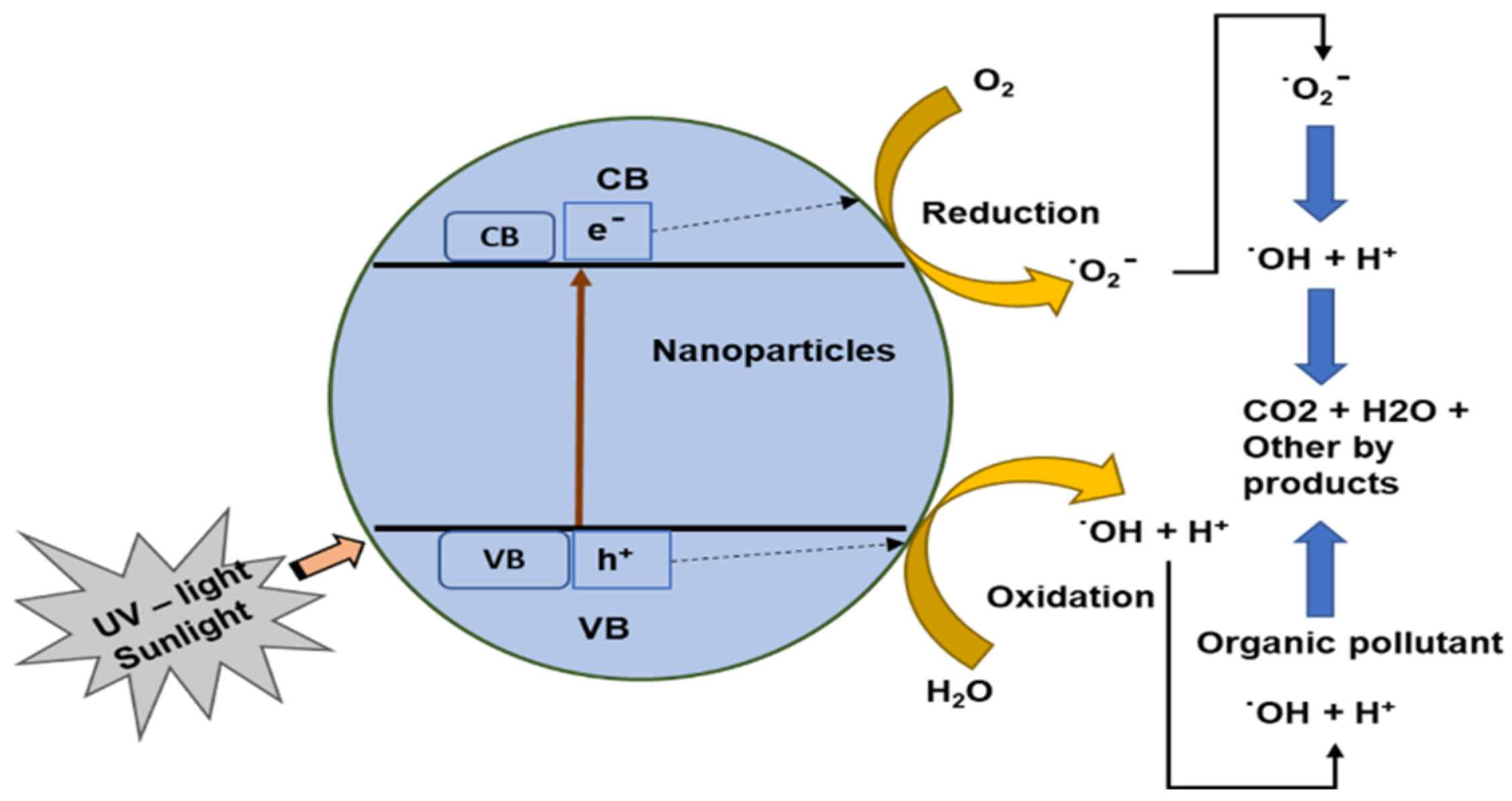 Catalysts 12 00459 g001