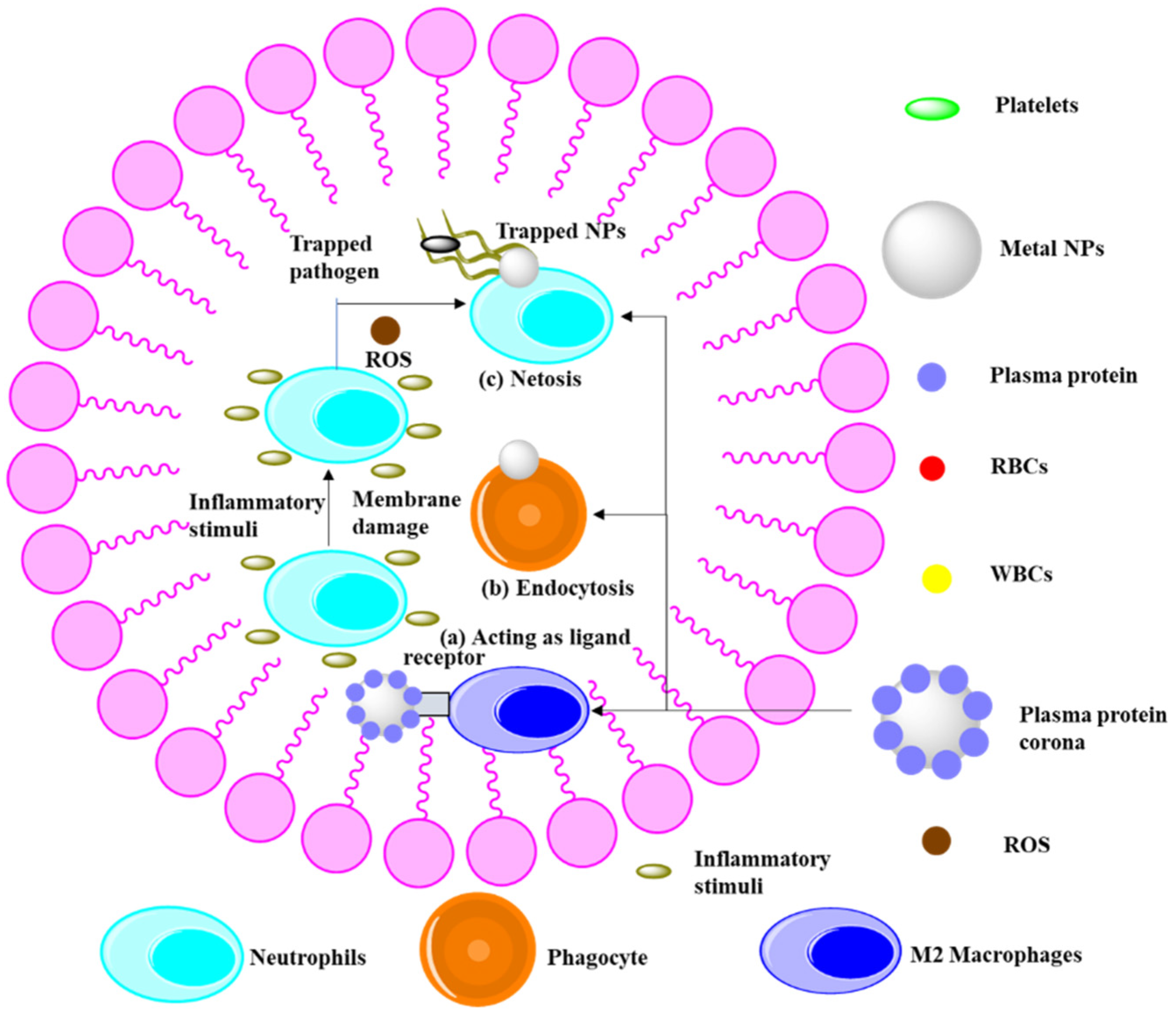 Catalysts 12 00459 g003