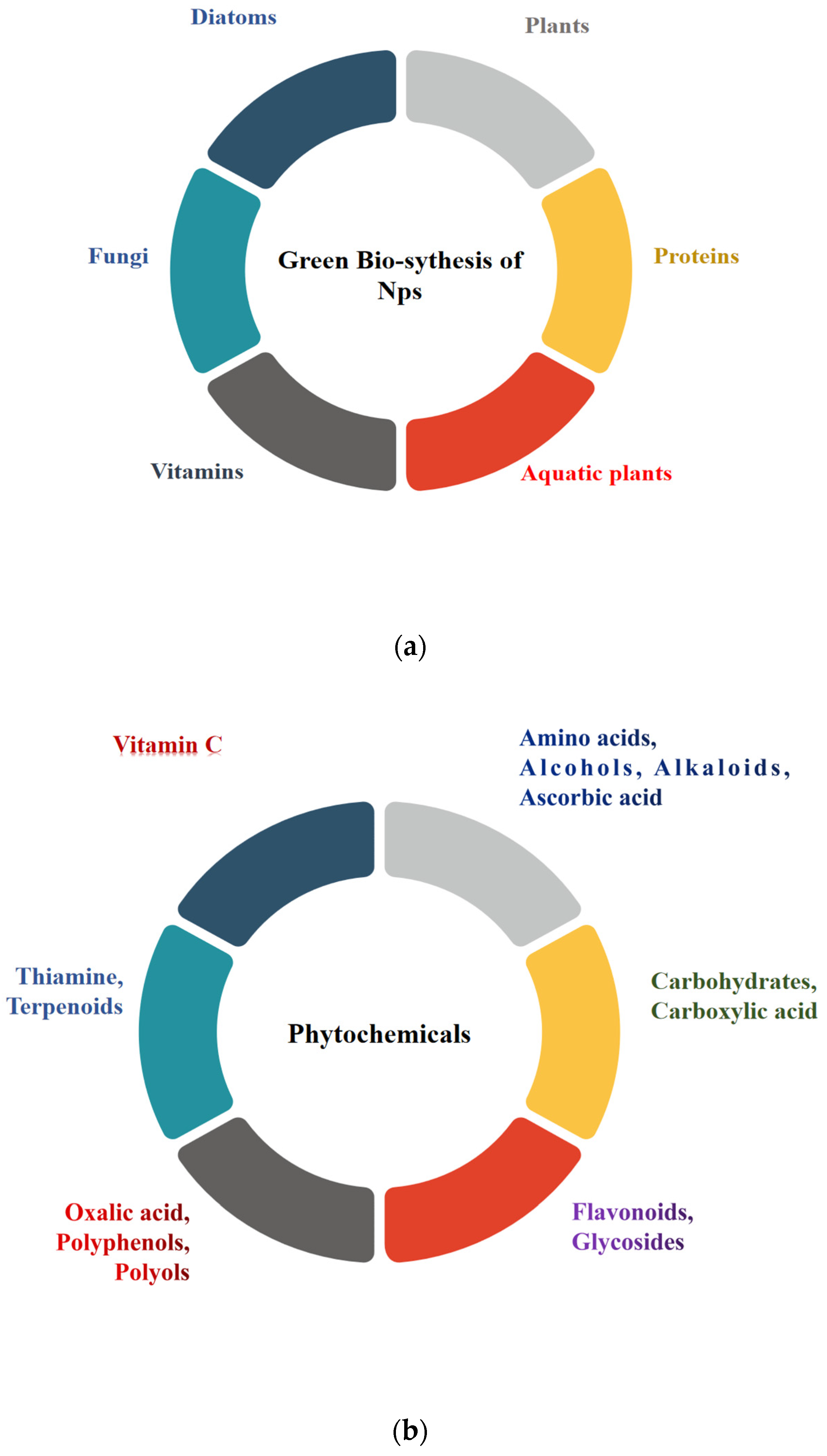 Catalysts 12 00459 g004