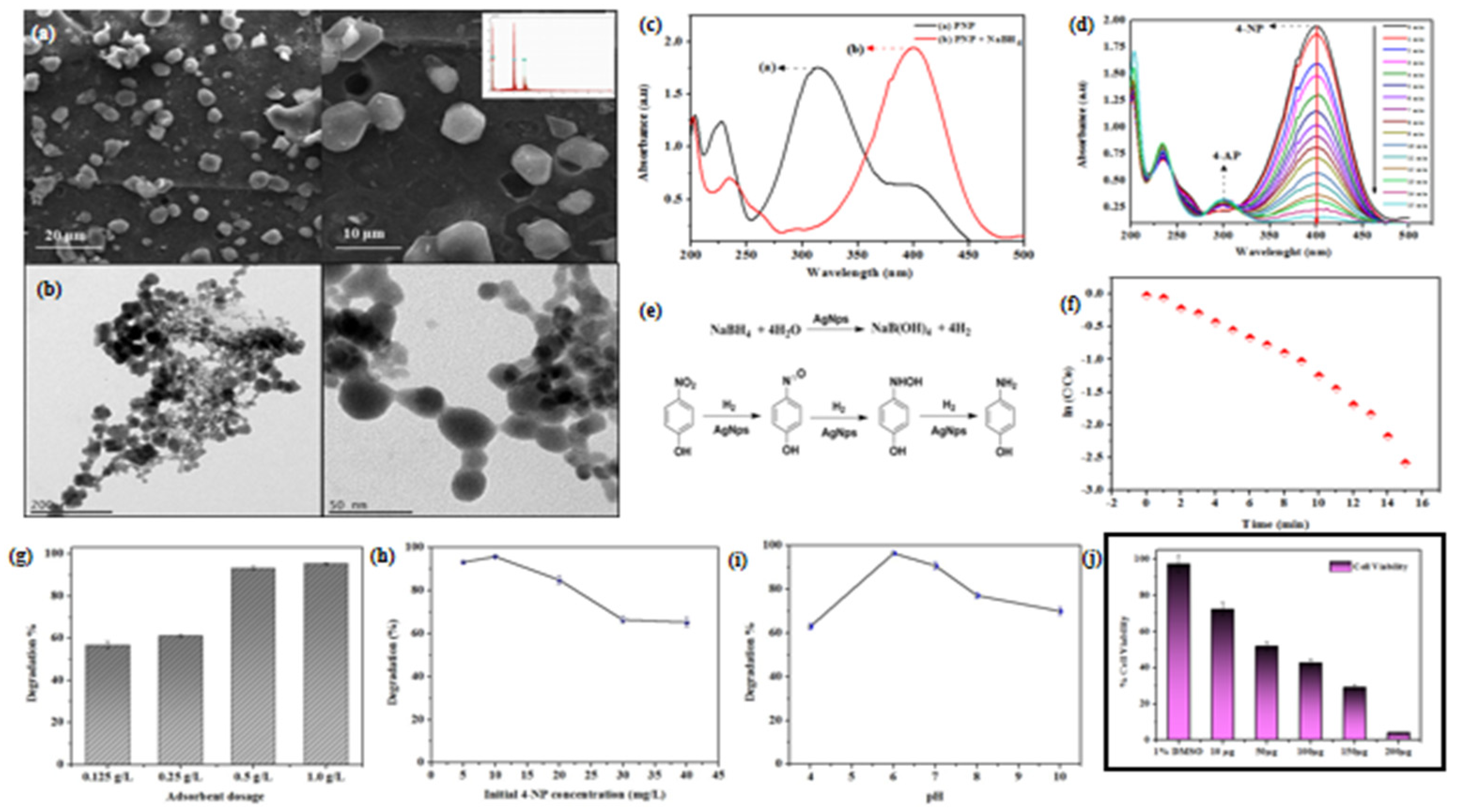 Catalysts 12 00459 g007
