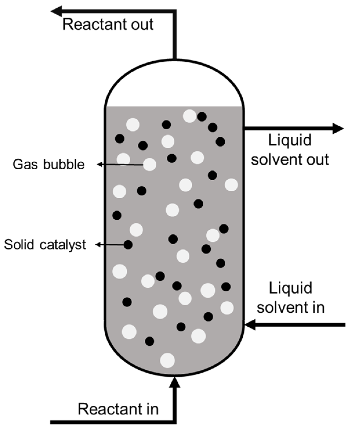 Catalysts 12 00469 g007