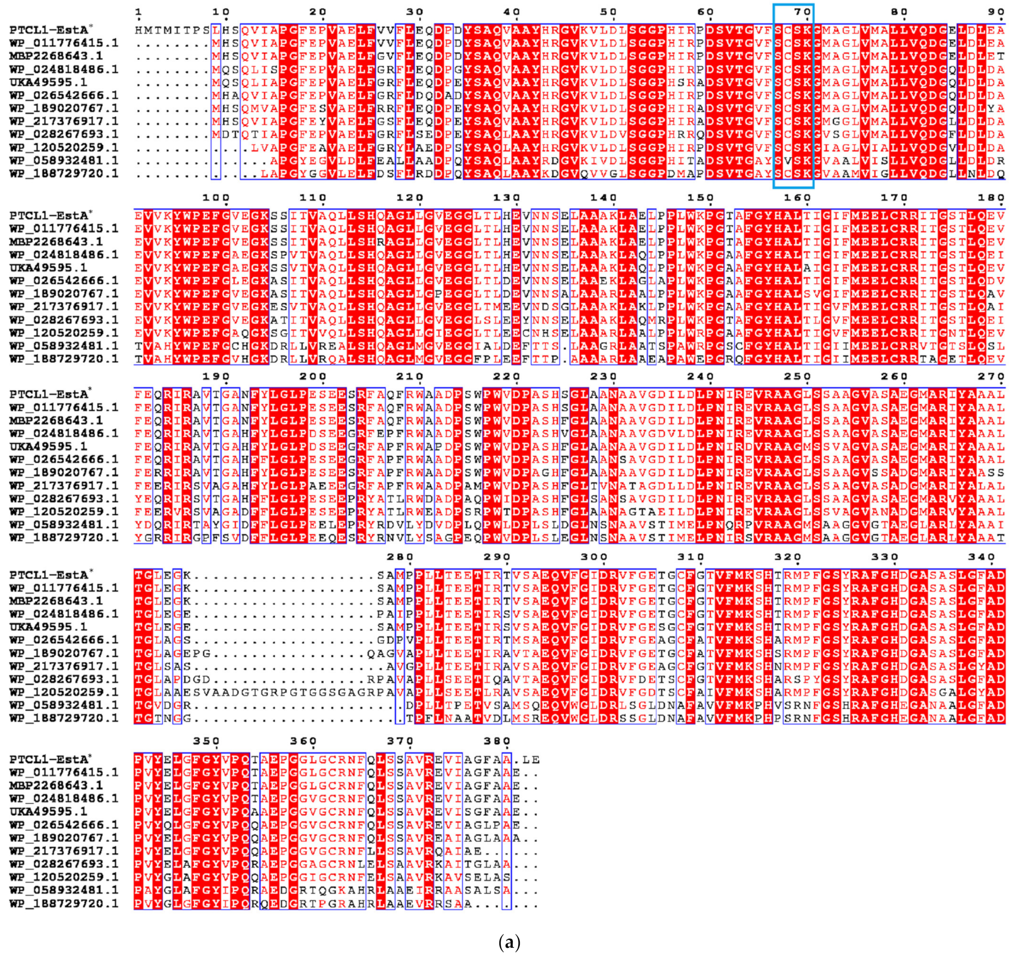 Catalysts 12 00473 g001a