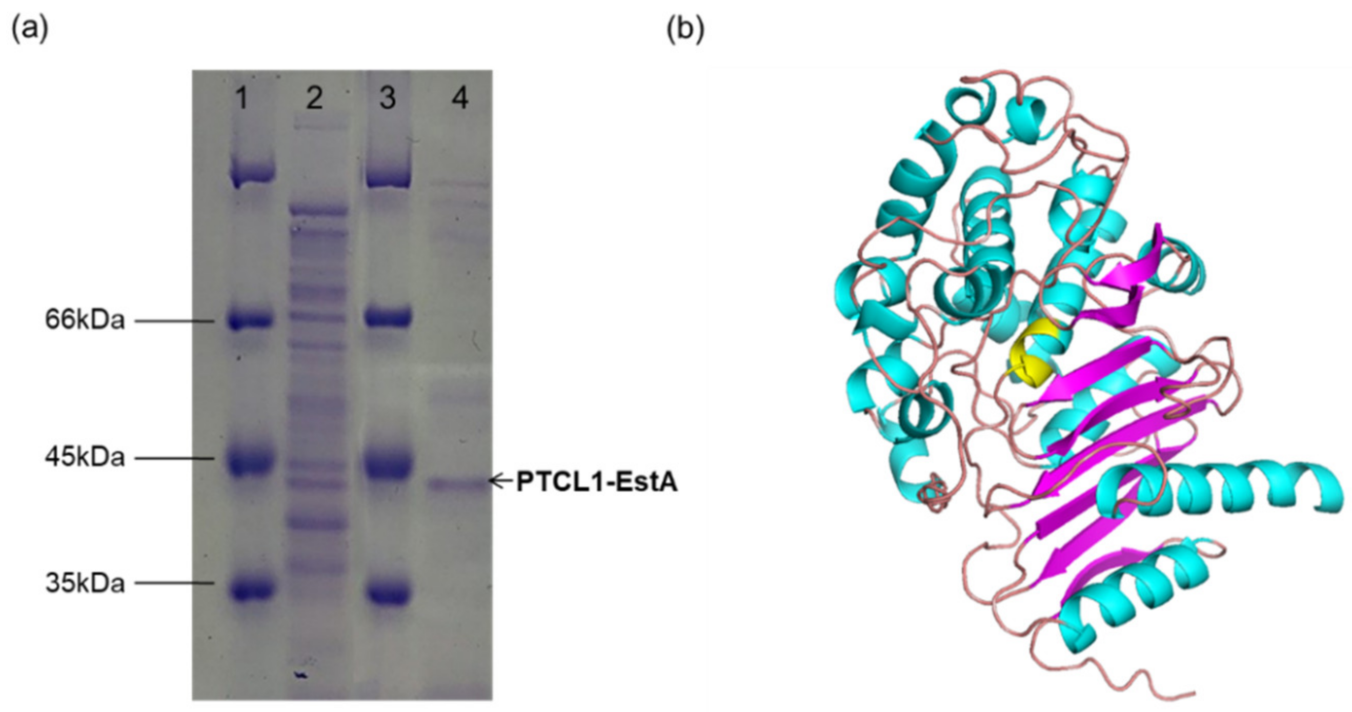 Catalysts 12 00473 g002