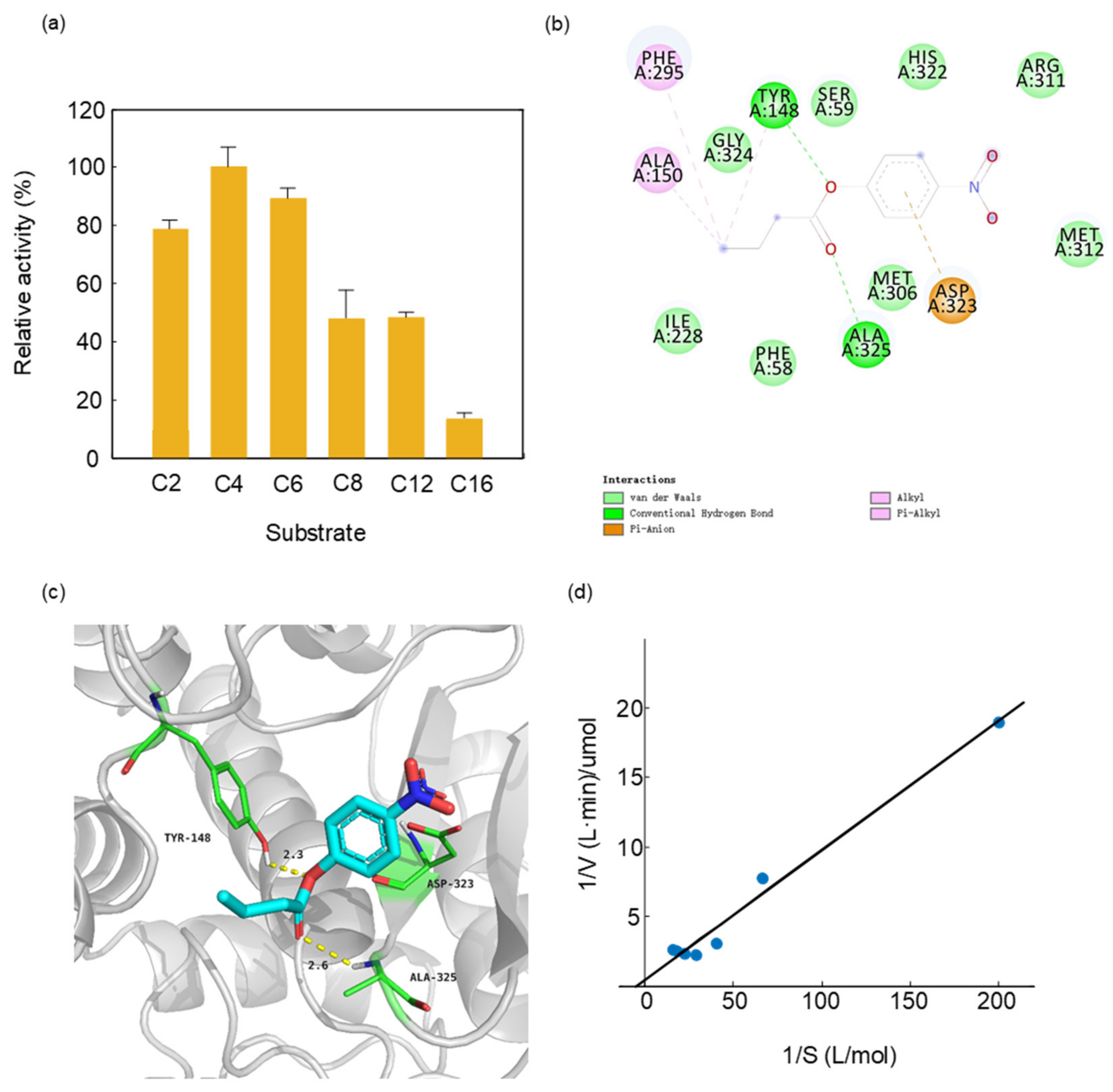 Catalysts 12 00473 g003