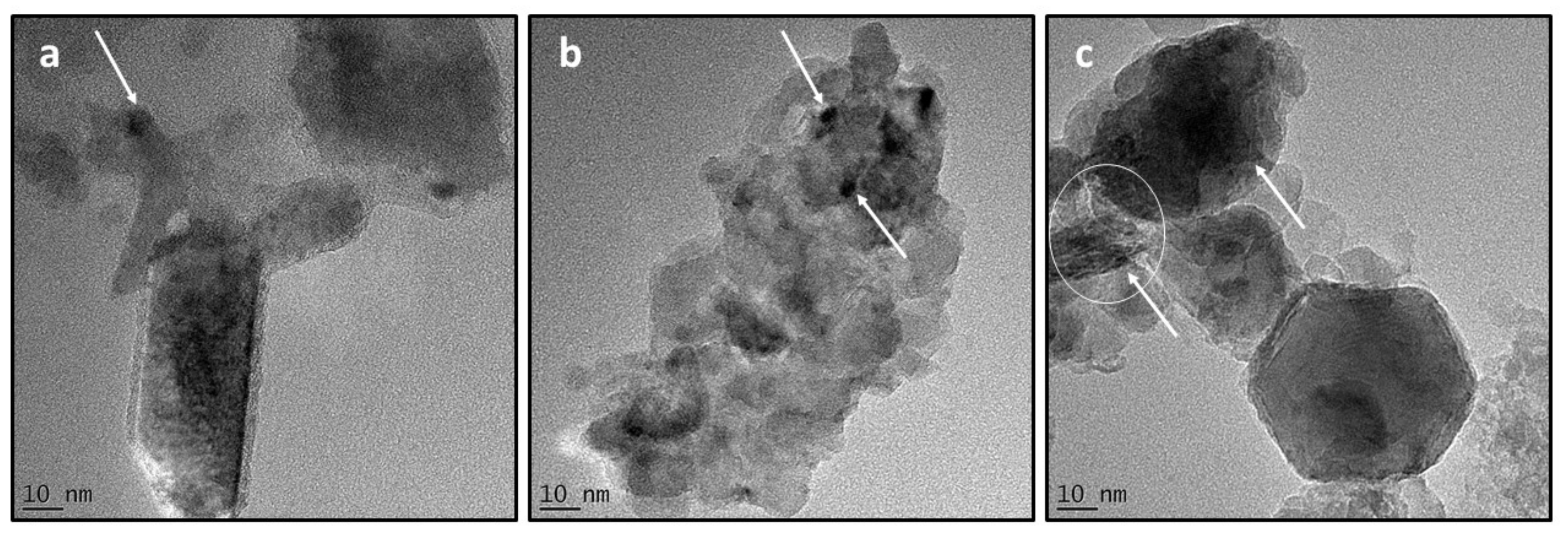 Catalysts 12 00483 g009