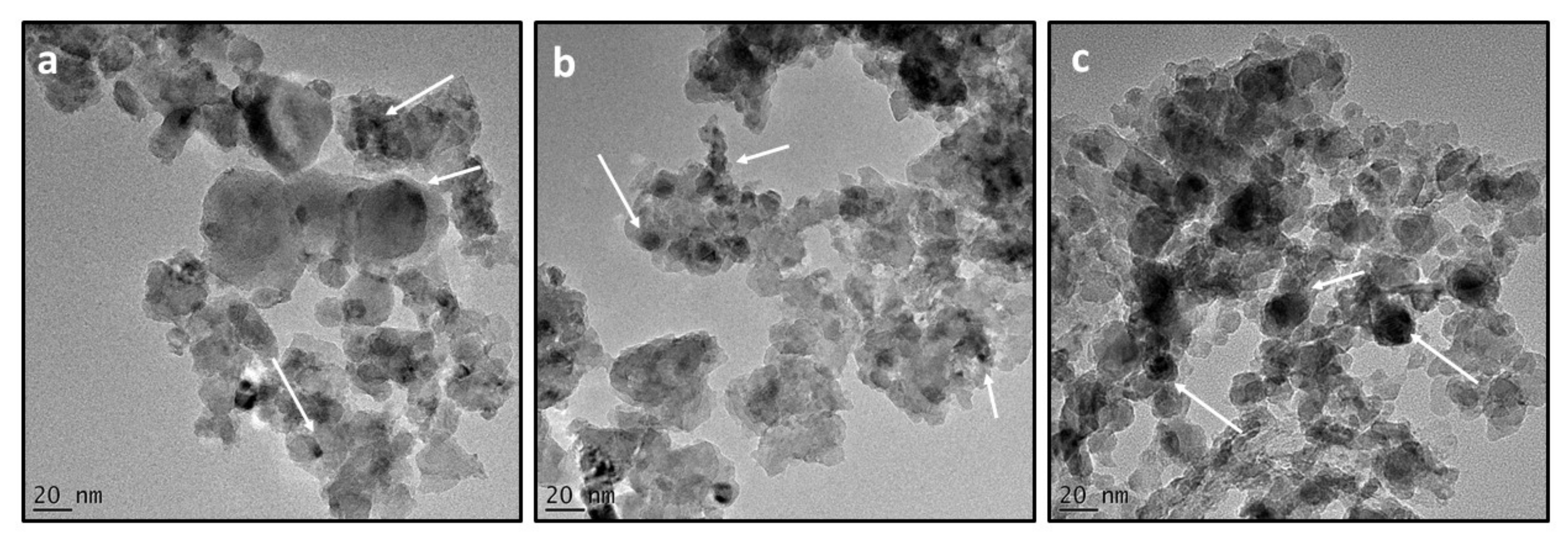 Catalysts 12 00483 g011